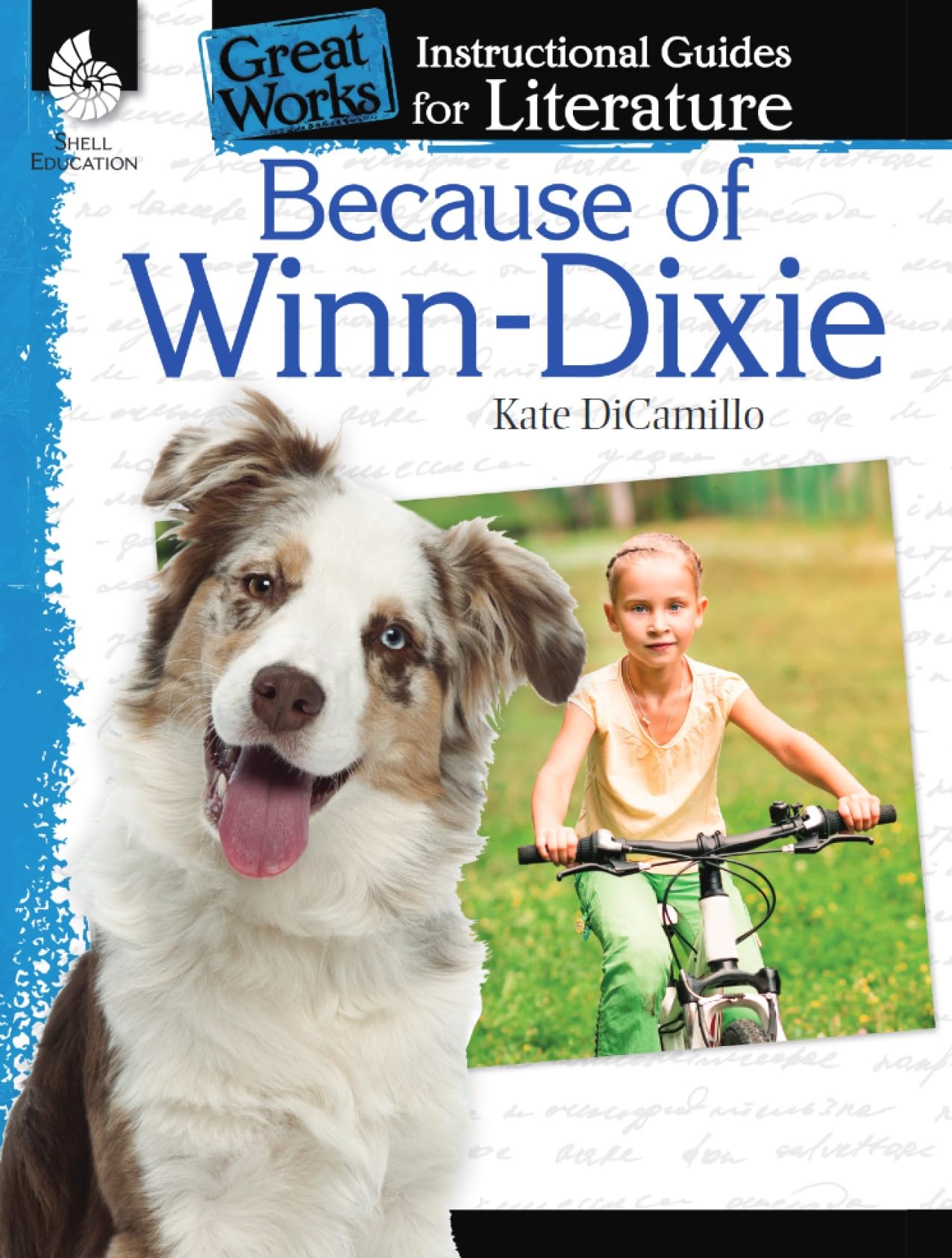 Because of WinnDixie: An Instructional Guide for Literature Novel Study Guide for Elementary School Literature with Close Rea,Used
