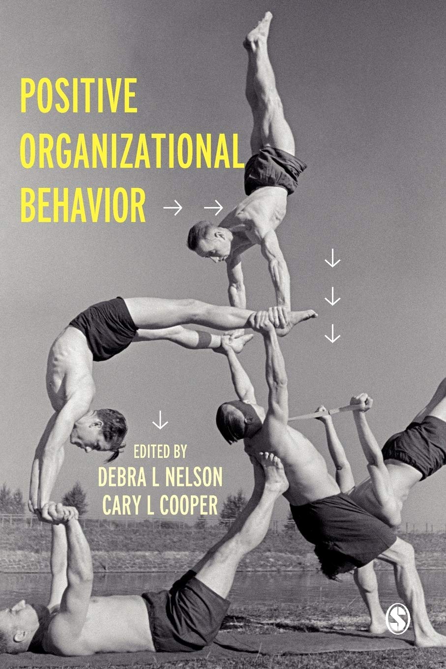 Positive Organizational Behavior,Used