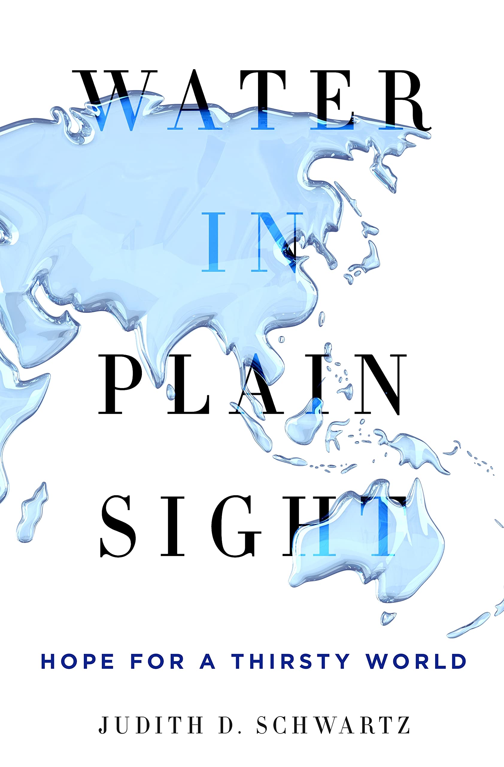 Water in Plain Sight: Hope for a Thirsty World,Used