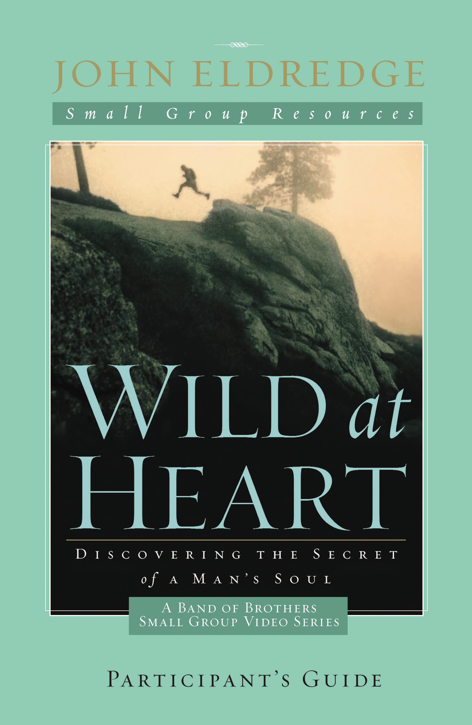 Wild at Heart: A Band of Brothers Small Group Participant's Guide: A Personal Guide to Discover the Secret of Your Masculine Sou,Used