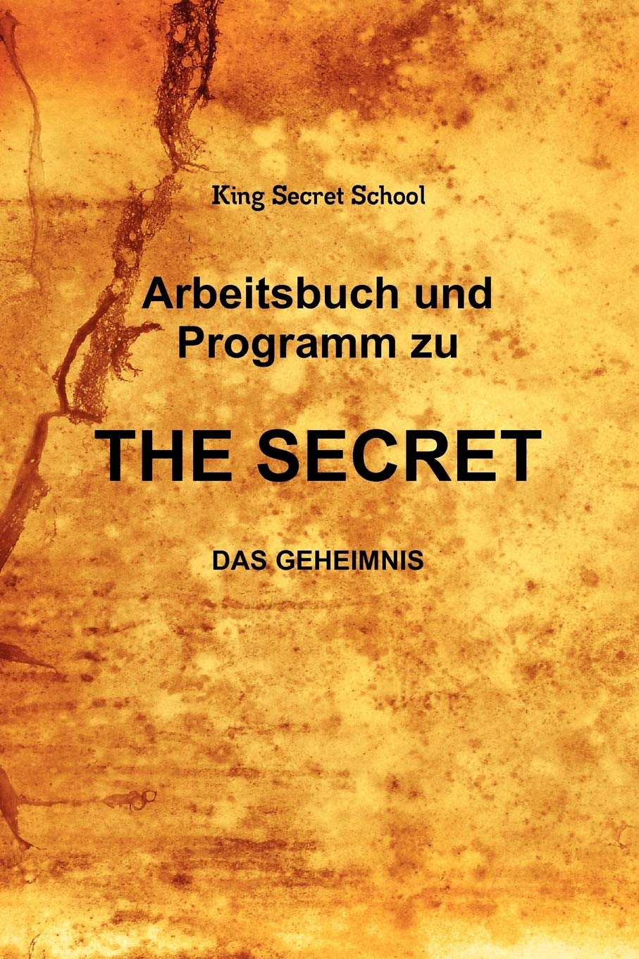 Arbeitsbuch Und Programm Zu The Secret (German Edition),Used