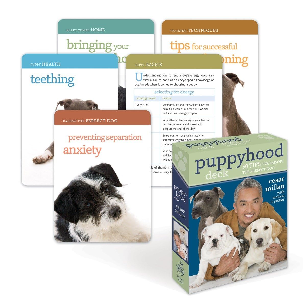 Puppyhood Deck: 50 Tips For Raising The Perfect Dog,Used