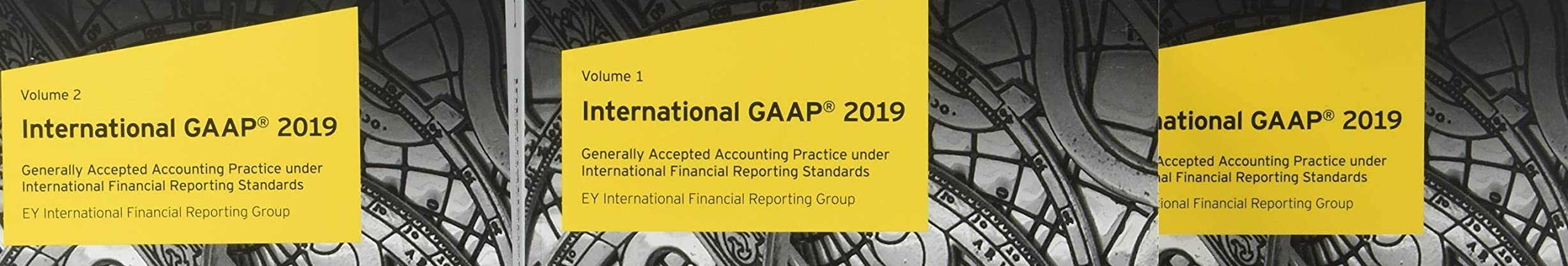 International GAAP 2019,Used