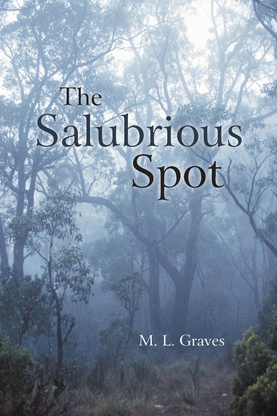 The Salubrious Spot,Used
