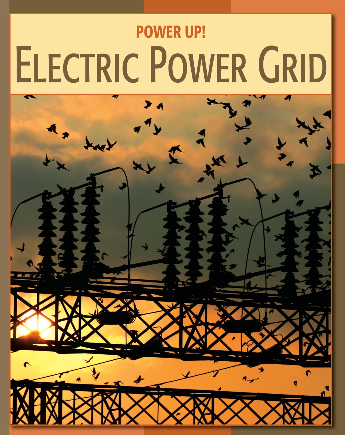 Electric Power Grid (21st Century Skills Library: Power Up!),Used