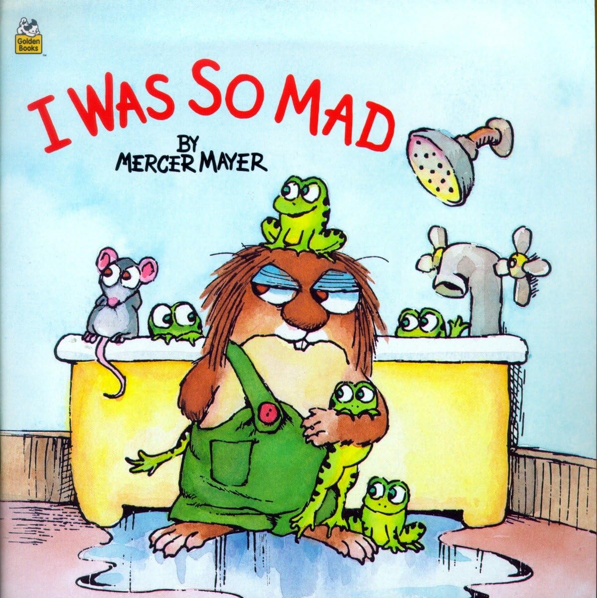 I Was So Mad (Little Critter) (LookLook),Used