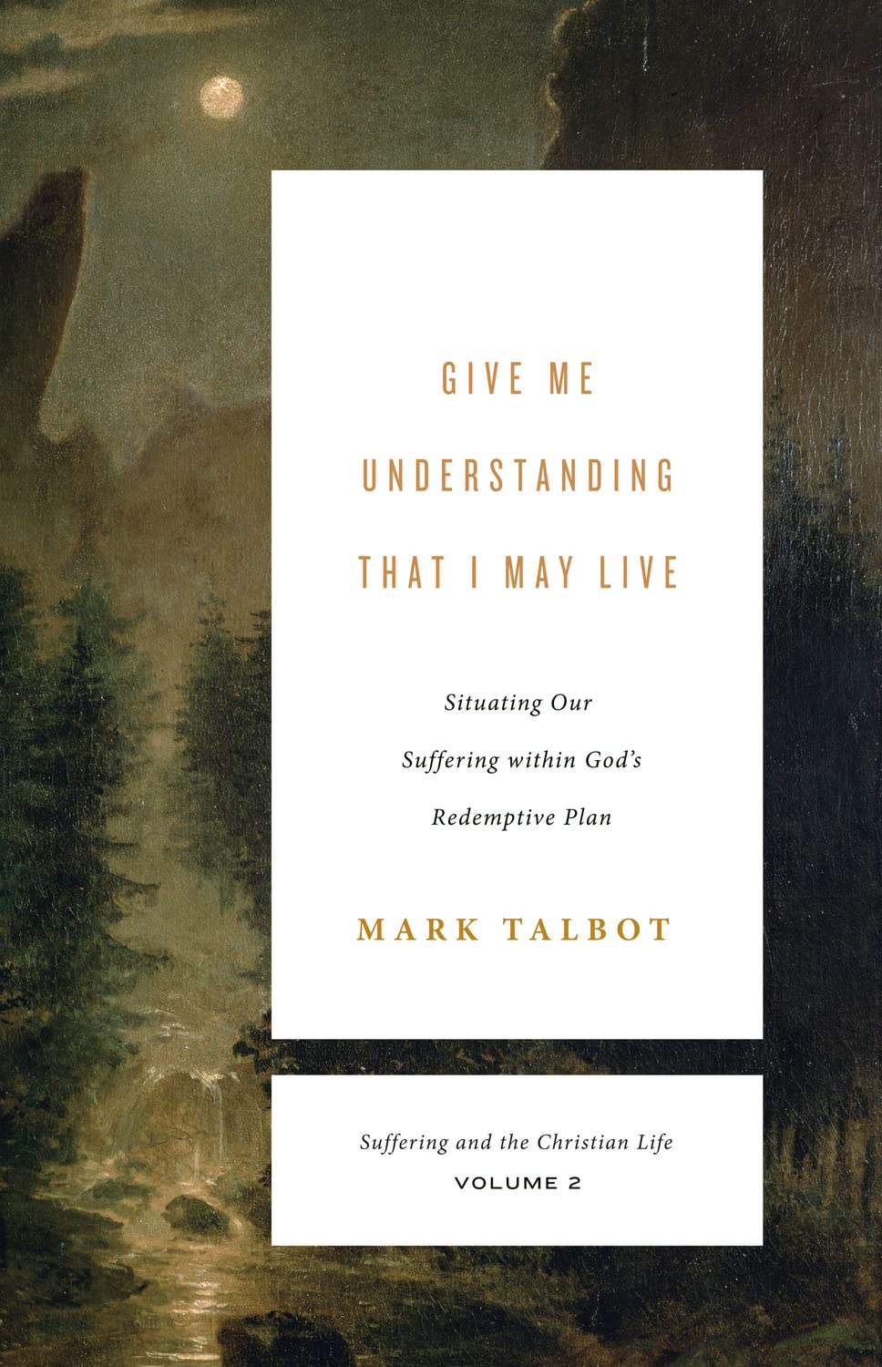 Give Me Understanding That I May Live: Situating Our Suffering within God's Redemptive Plan (Suffering and the Christian Life, V,Used