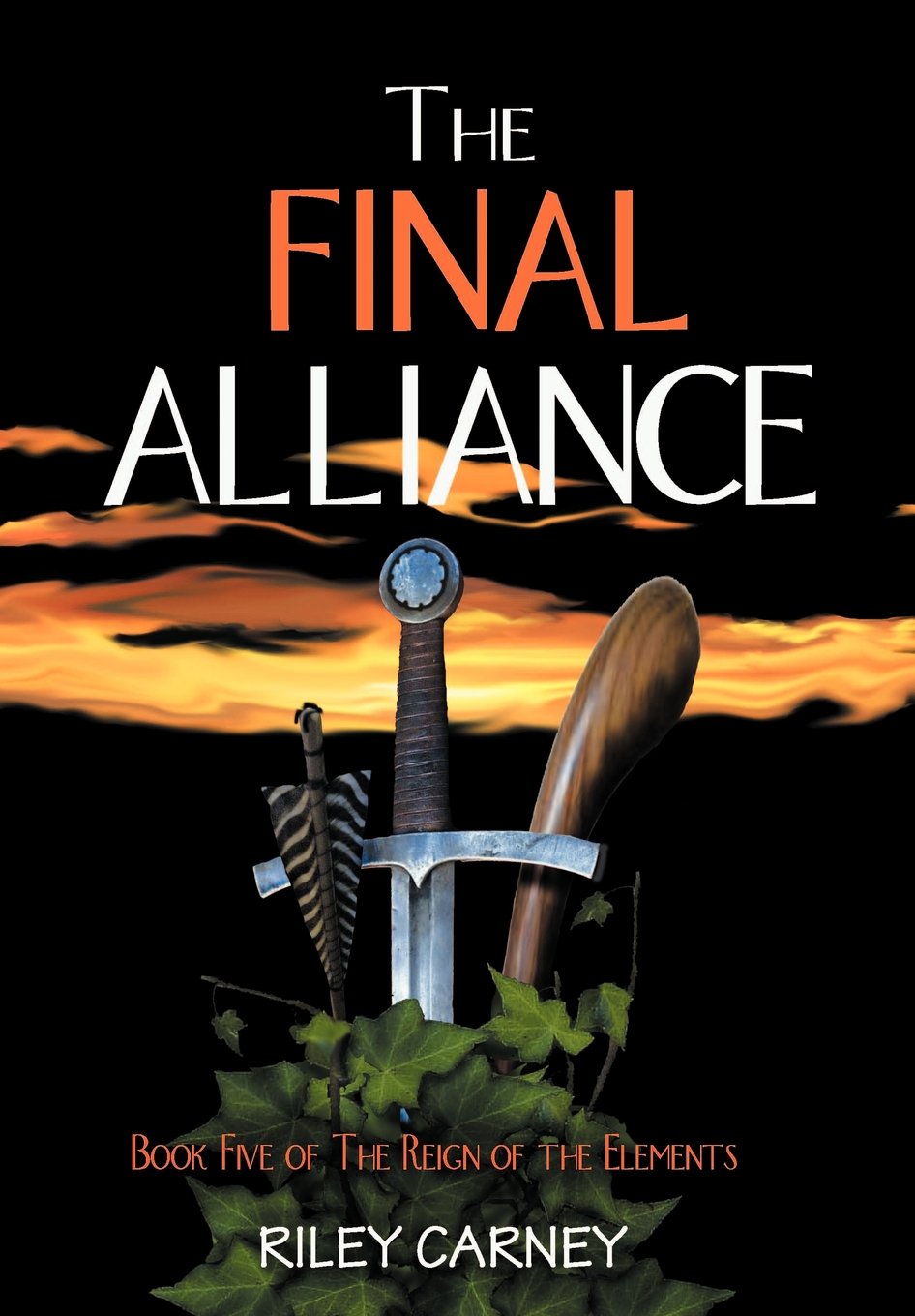 The Final Alliance: Book Five of the Reign of the Elements,Used