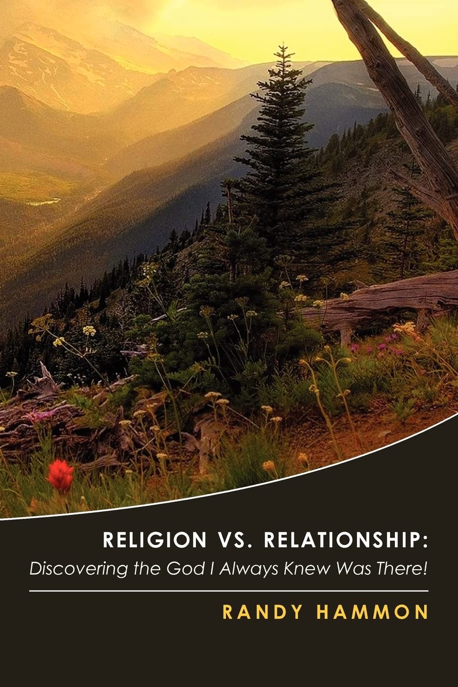 Religion Vs. Relationship: Discovering The God I Always Knew Was There!,New
