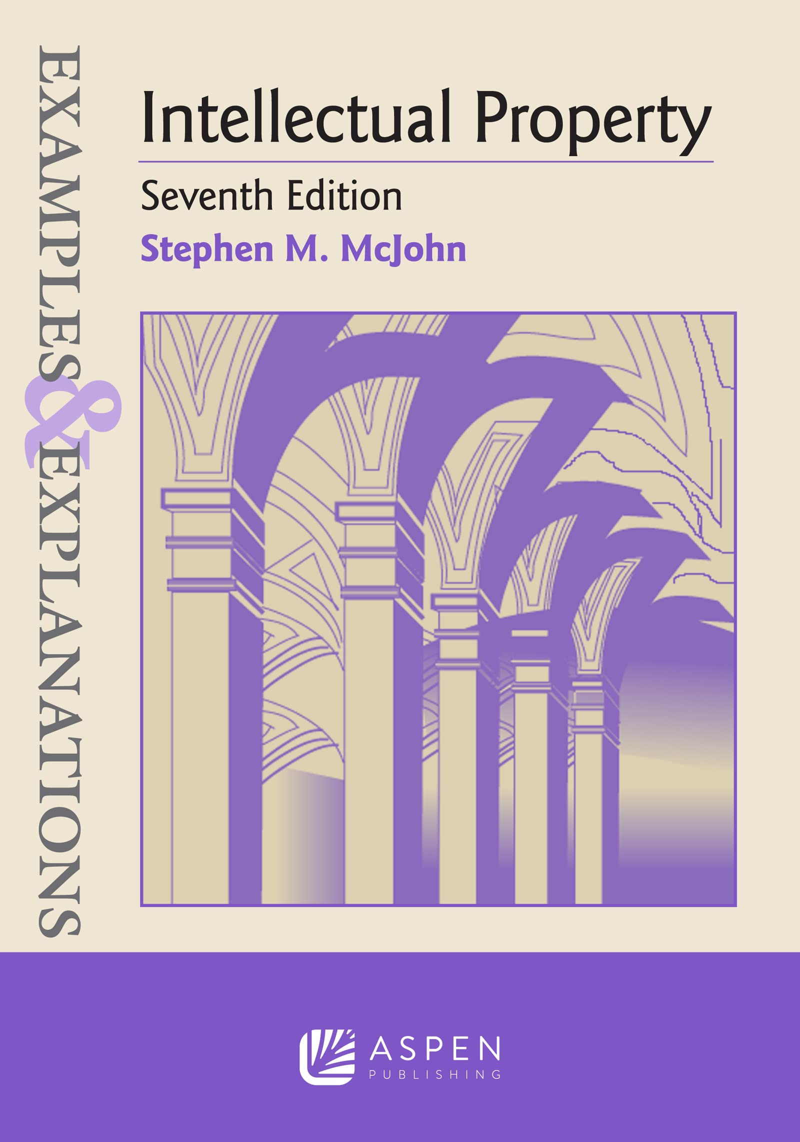 Intellectual Property (Examples & Explanations Series),Used