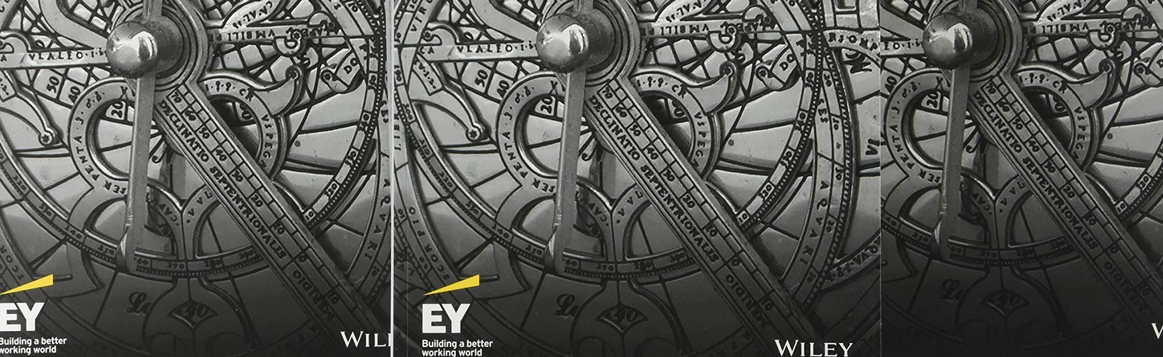 International GAAP 2019,Used