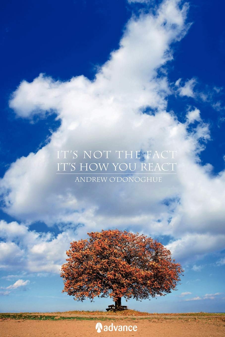 It'S Not The Fact; It'S How You React',Used
