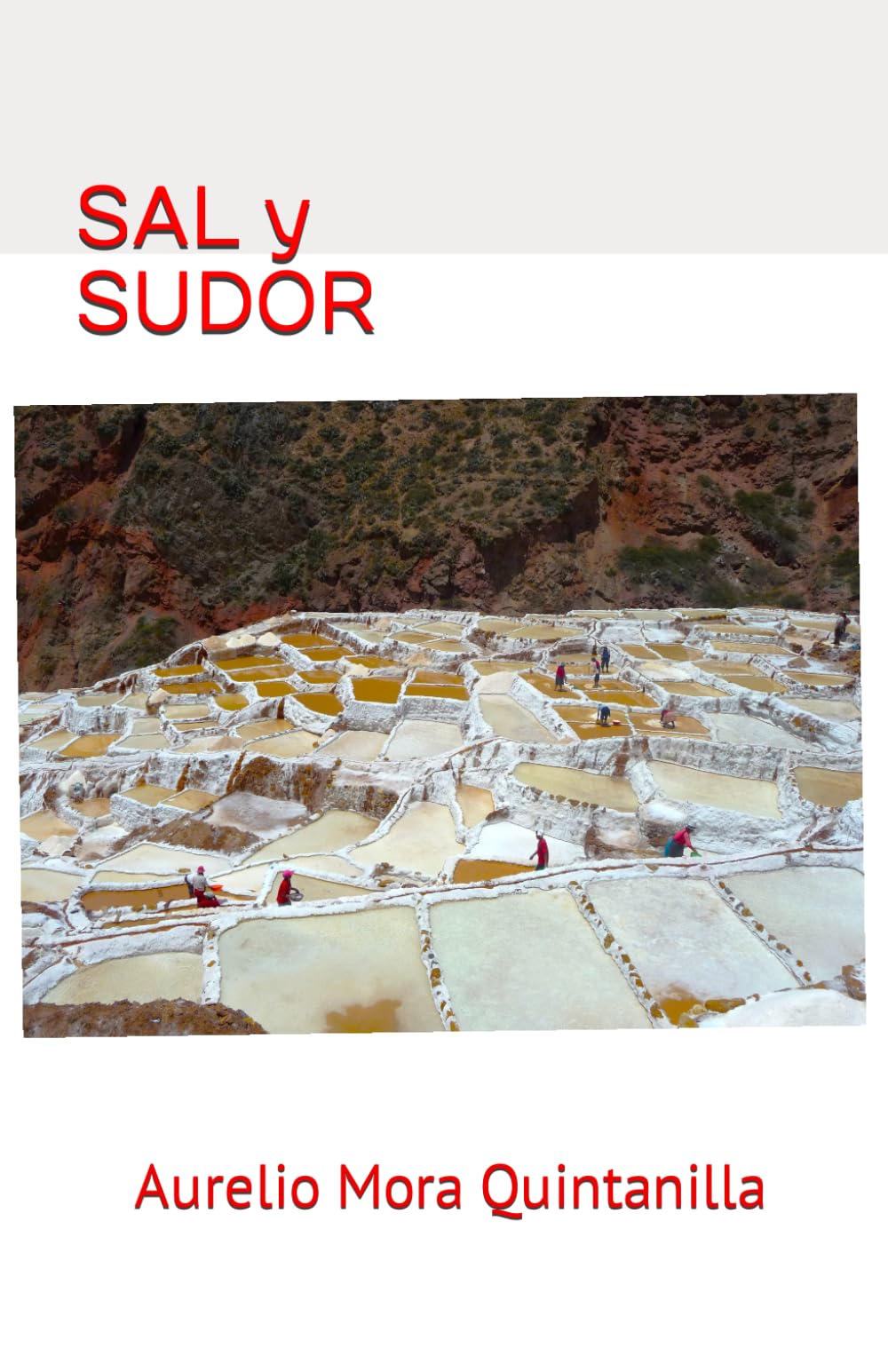 SAL Y SUDOR (Spanish Edition),Used