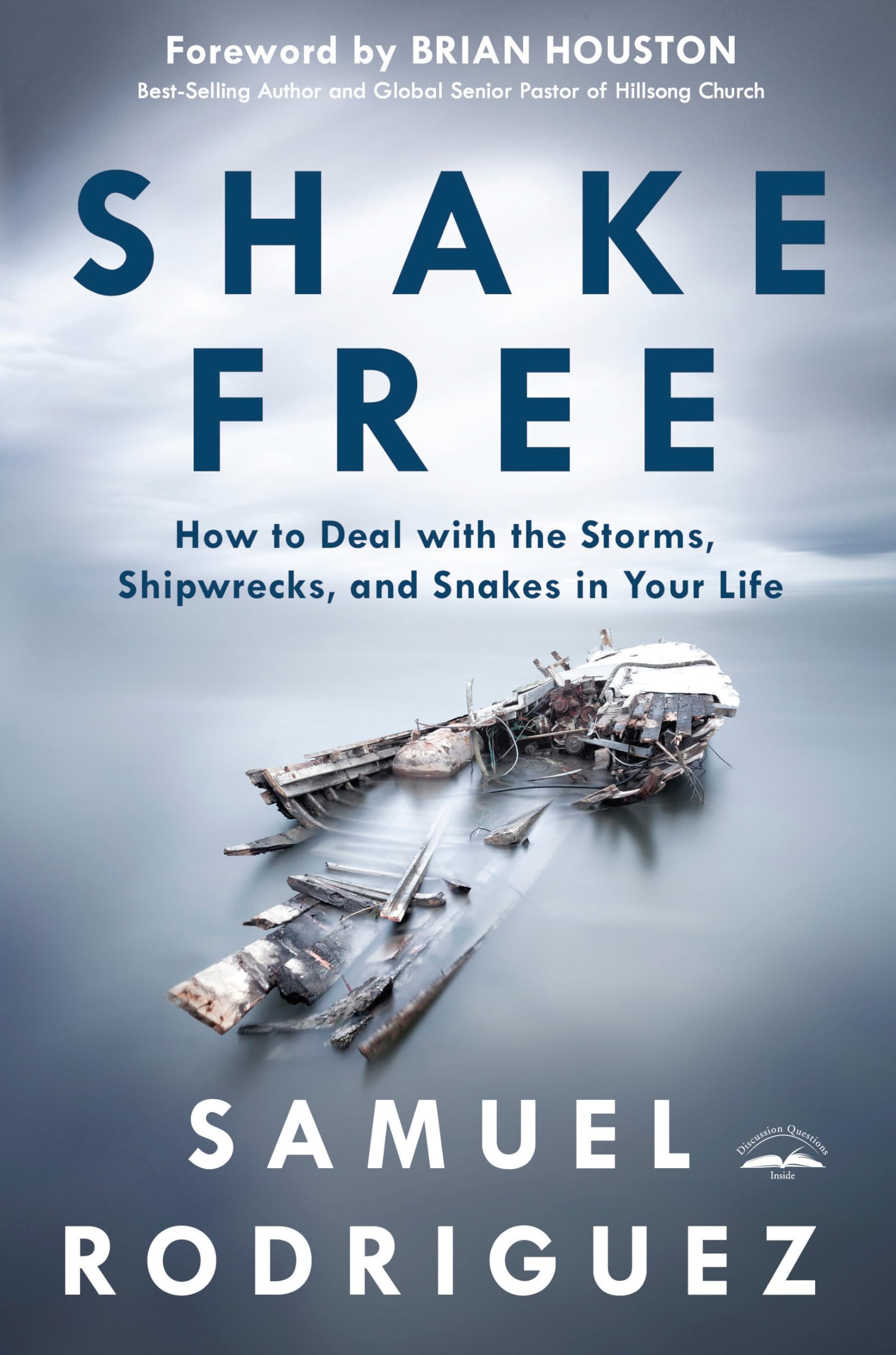 Shake Free: How To Deal With The Storms, Shipwrecks, And Snakes In Your Life,Used