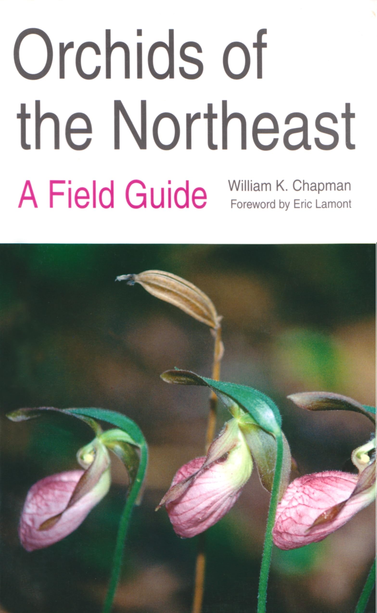 Orchids Of The Northeast: A Field Guide,Used