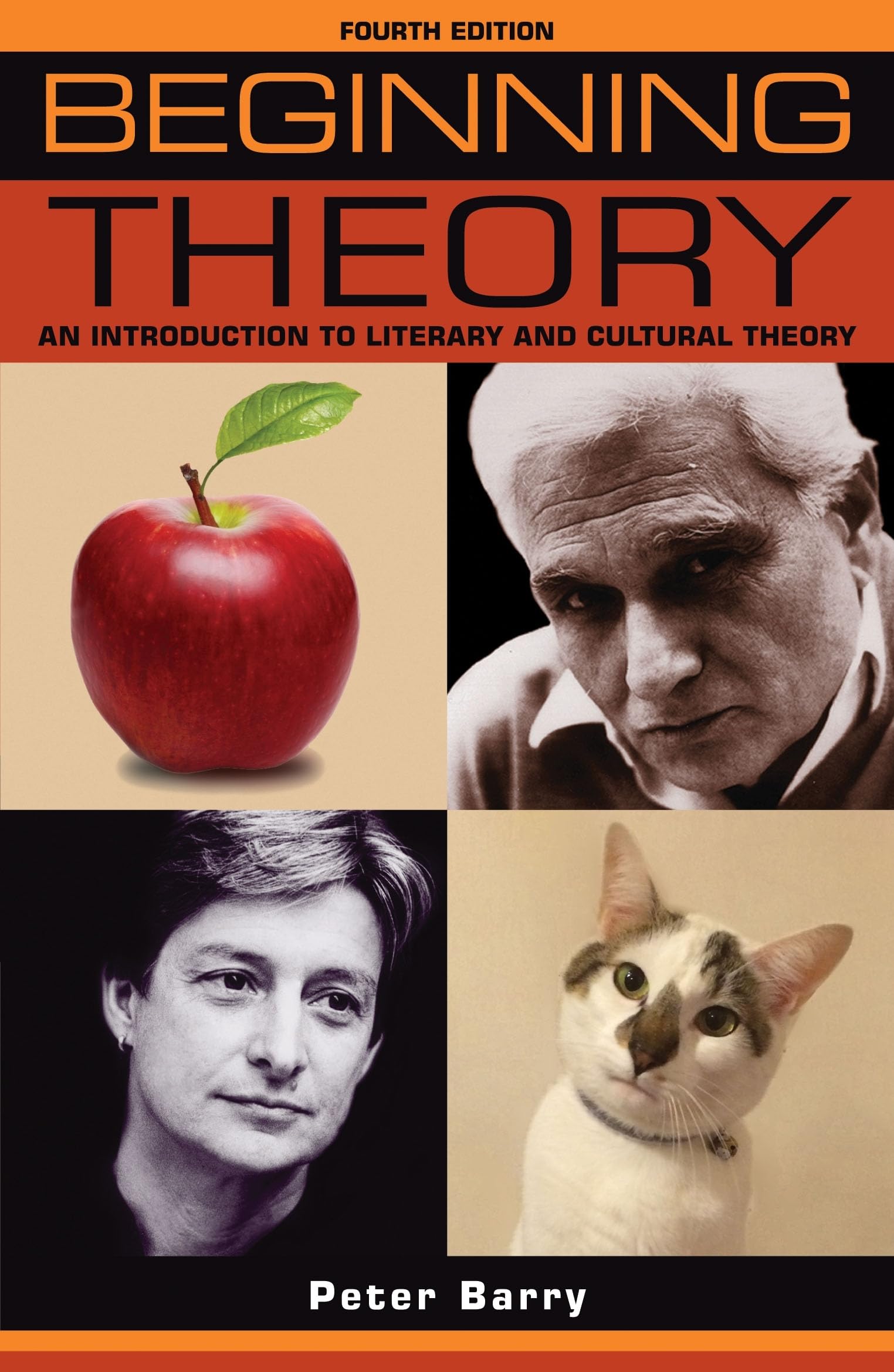 Beginning Theory: An Introduction To Literary And Cultural Theory: Fourth Edition (Beginnings)
