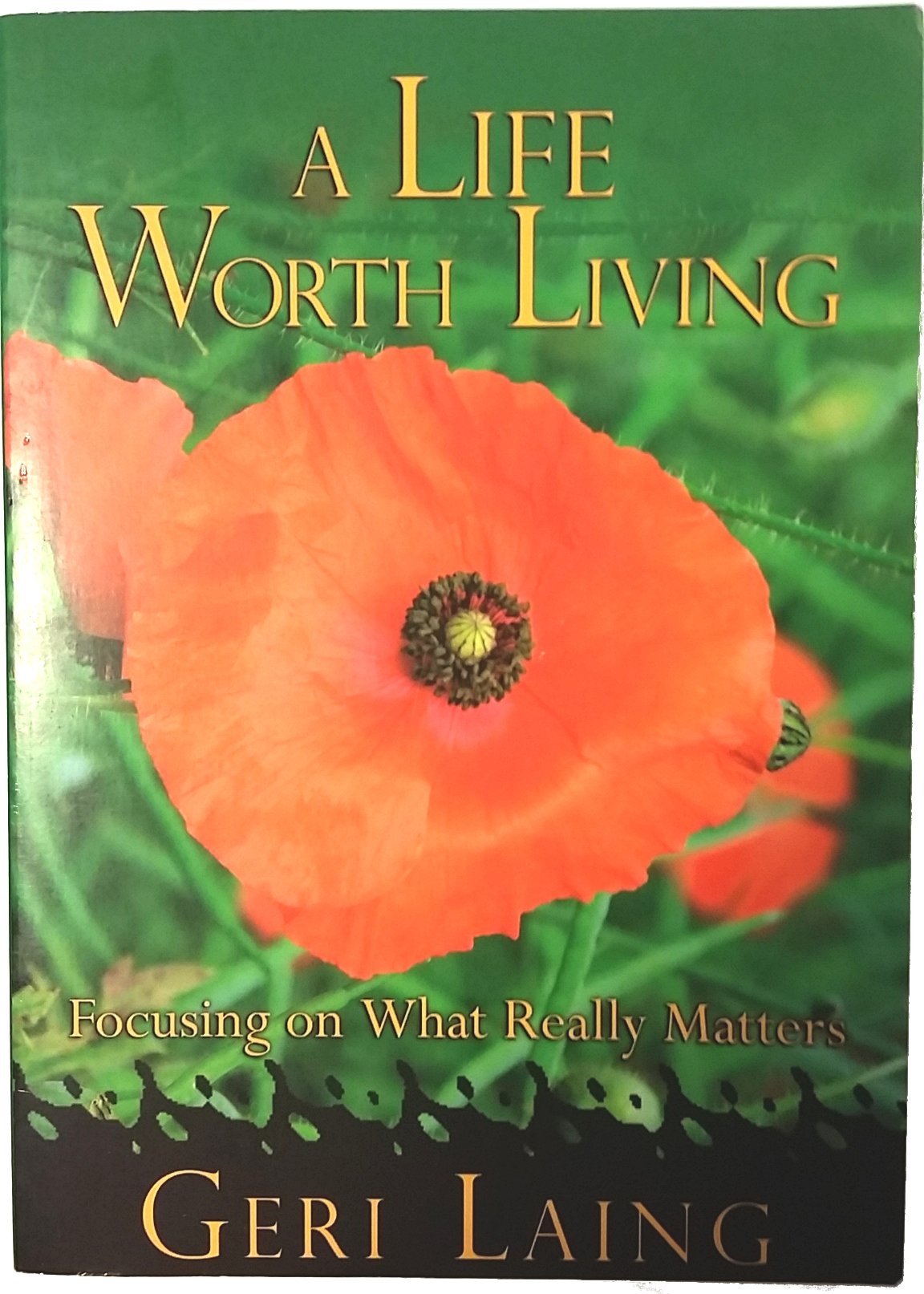 A Life Worth Living: Focusing On What Really Matters,Used