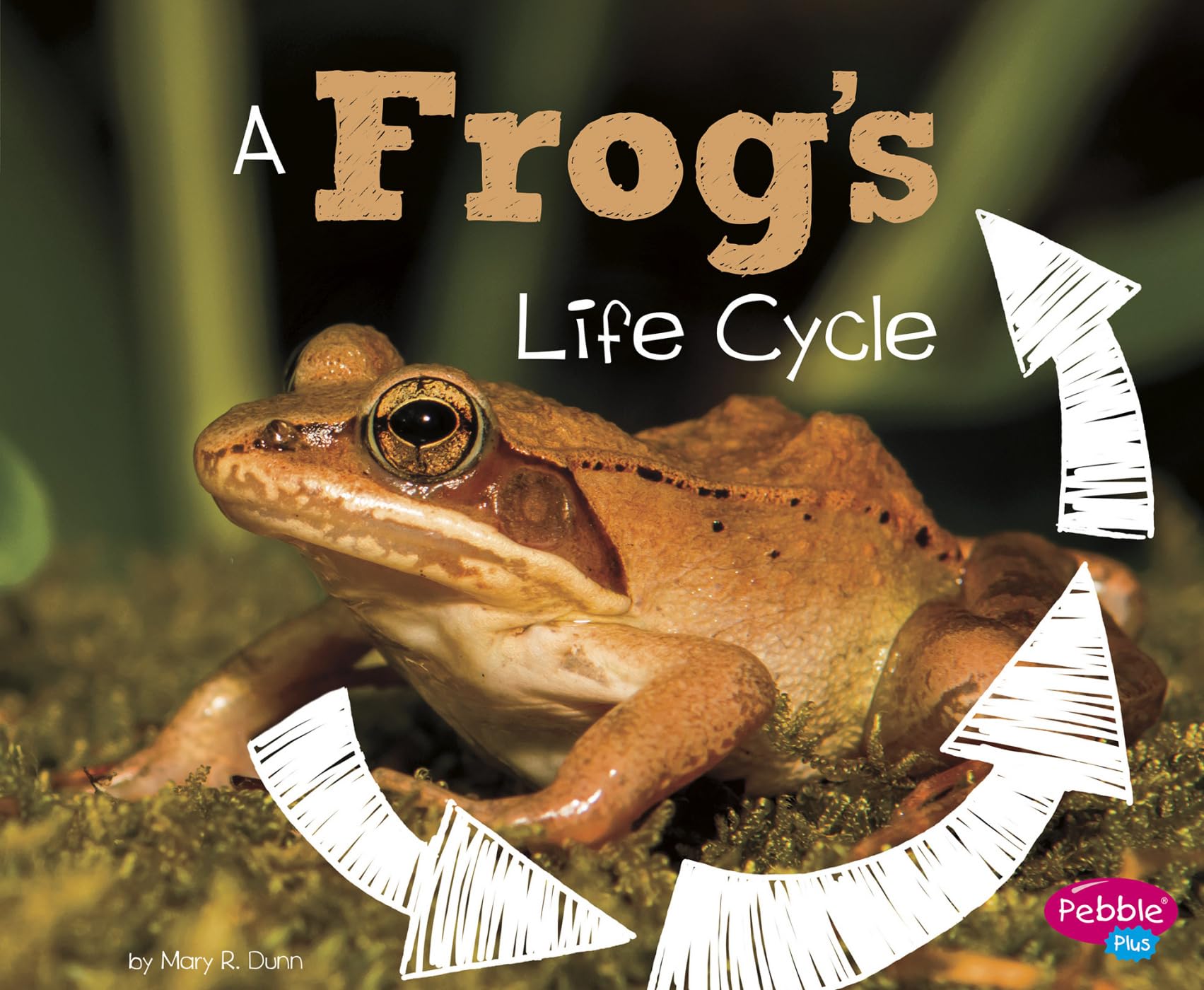 A Frog's Life Cycle (Explore Life Cycles),Used