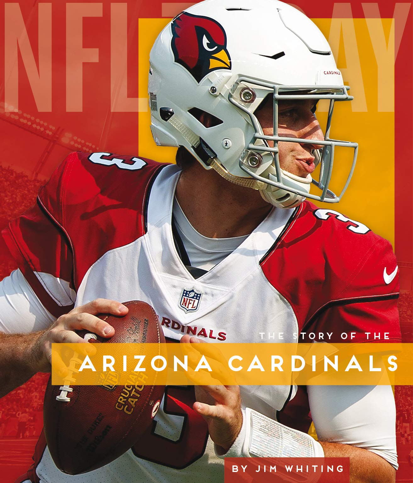Arizona Cardinals (Nfl Today)