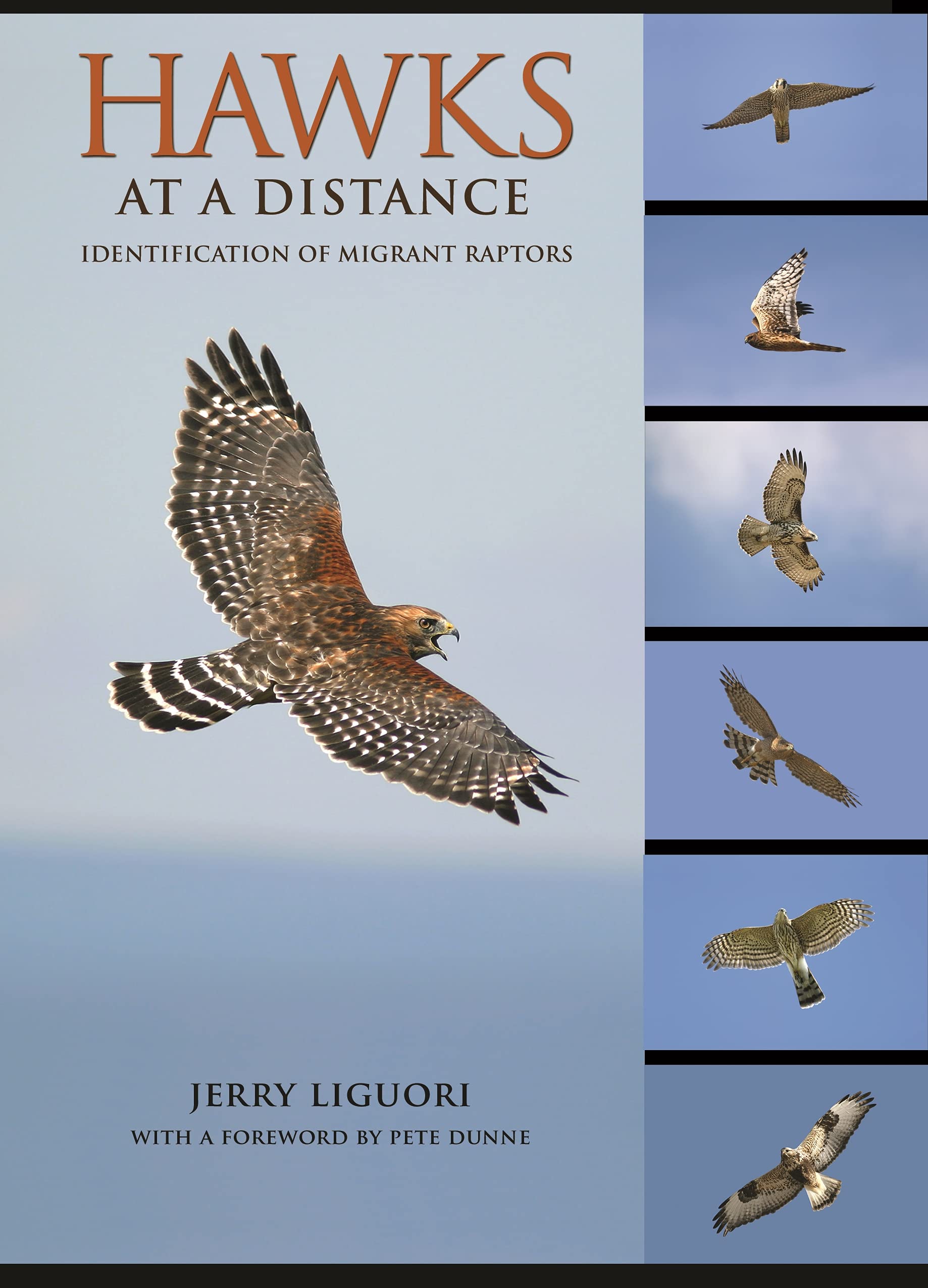 Hawks at a Distance: Identification of Migrant Raptors,Used