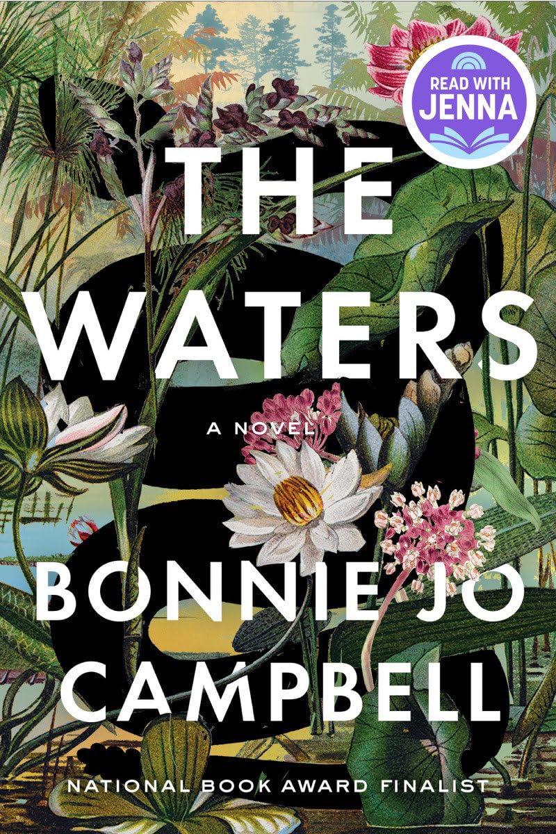 The Waters: A Novel,Used