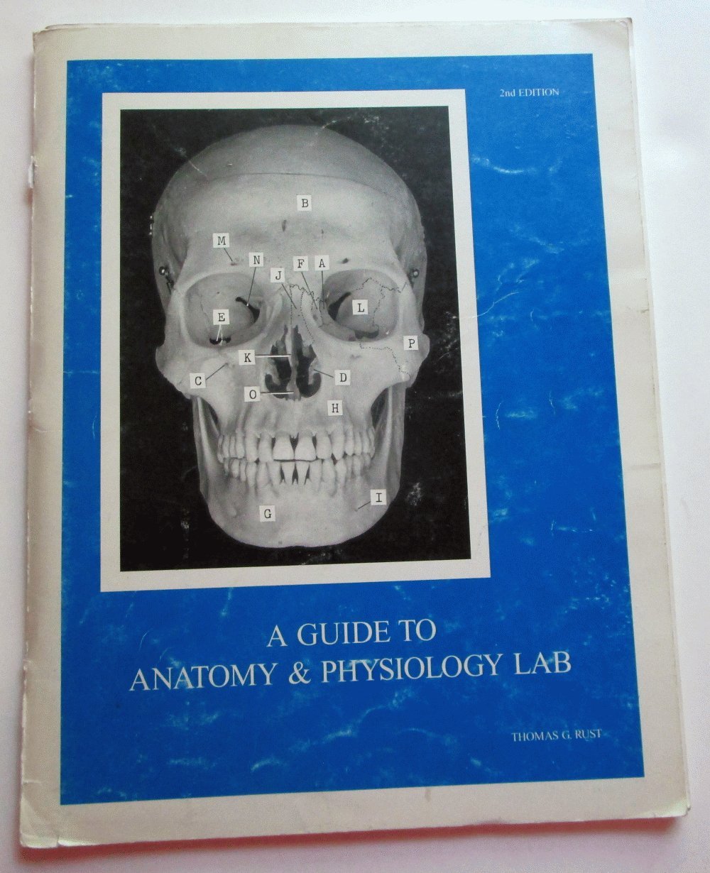 A Guide to Anatomy and Physiology,Used