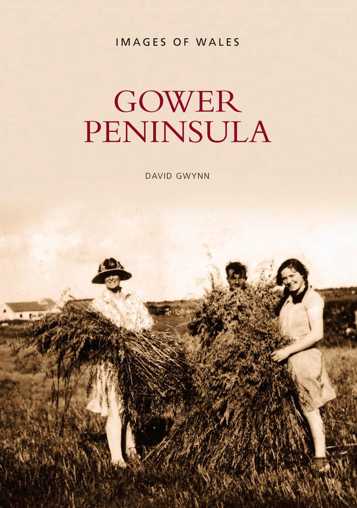 Gower Peninsula (Images of Wales),Used