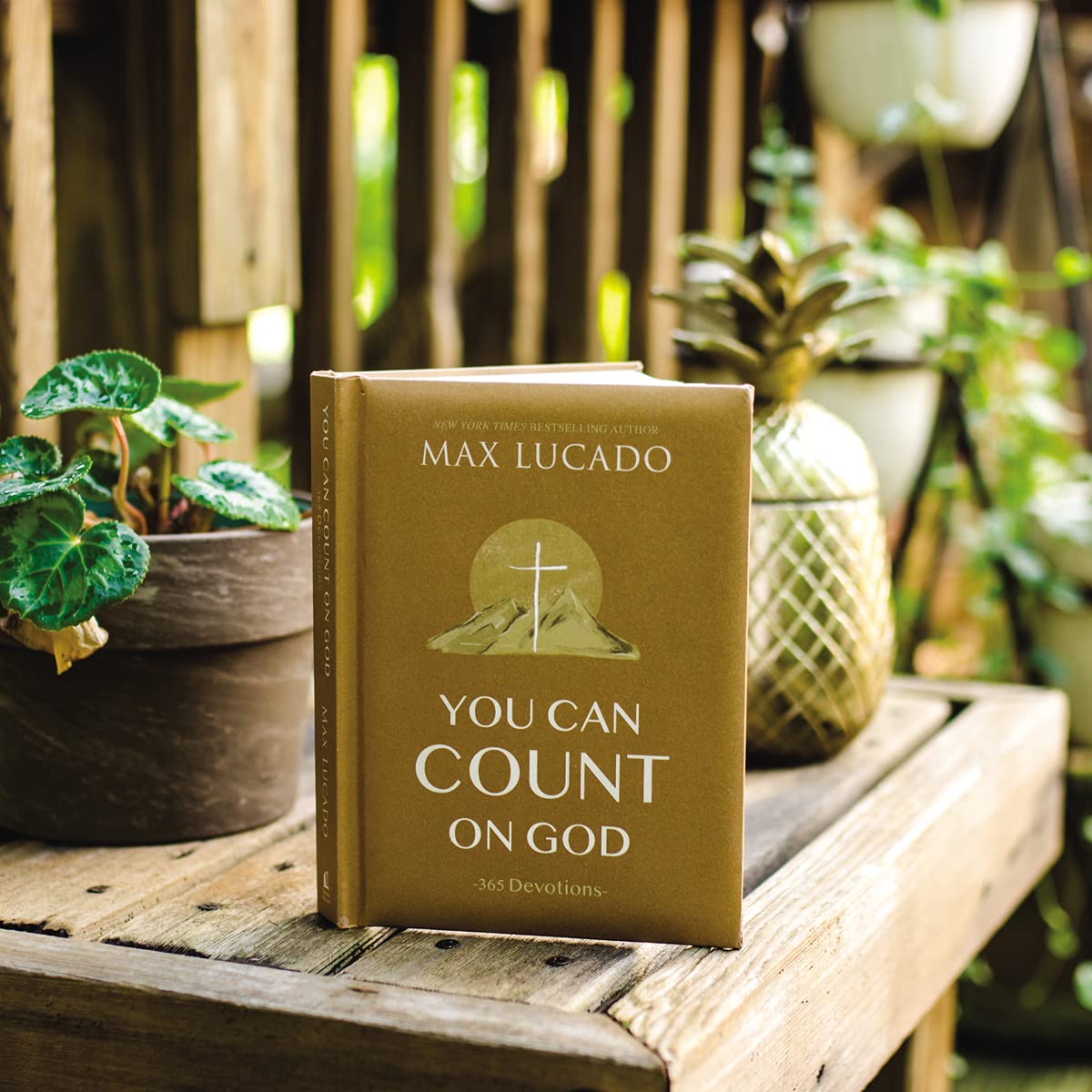 You Can Count on God: 365 Devotions,Used