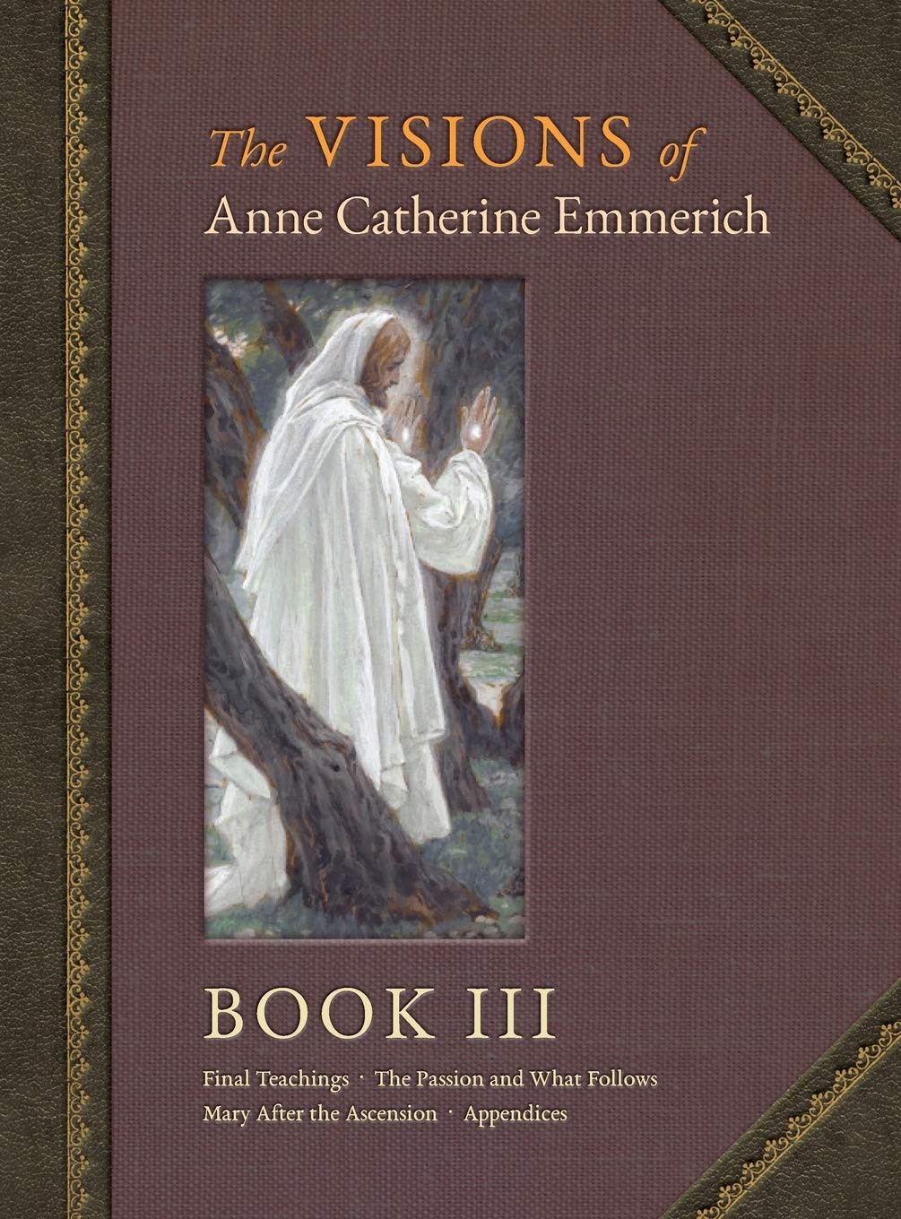 The Visions of Anne Catherine Emmerich (Deluxe Edition): Book III,Used