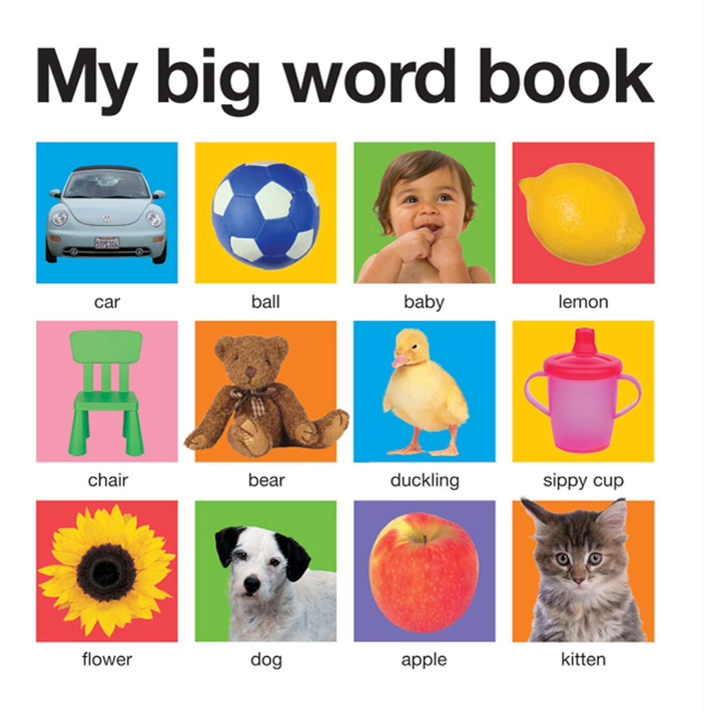 My Big Word Book (Casebound) (My Big Board Books),Used