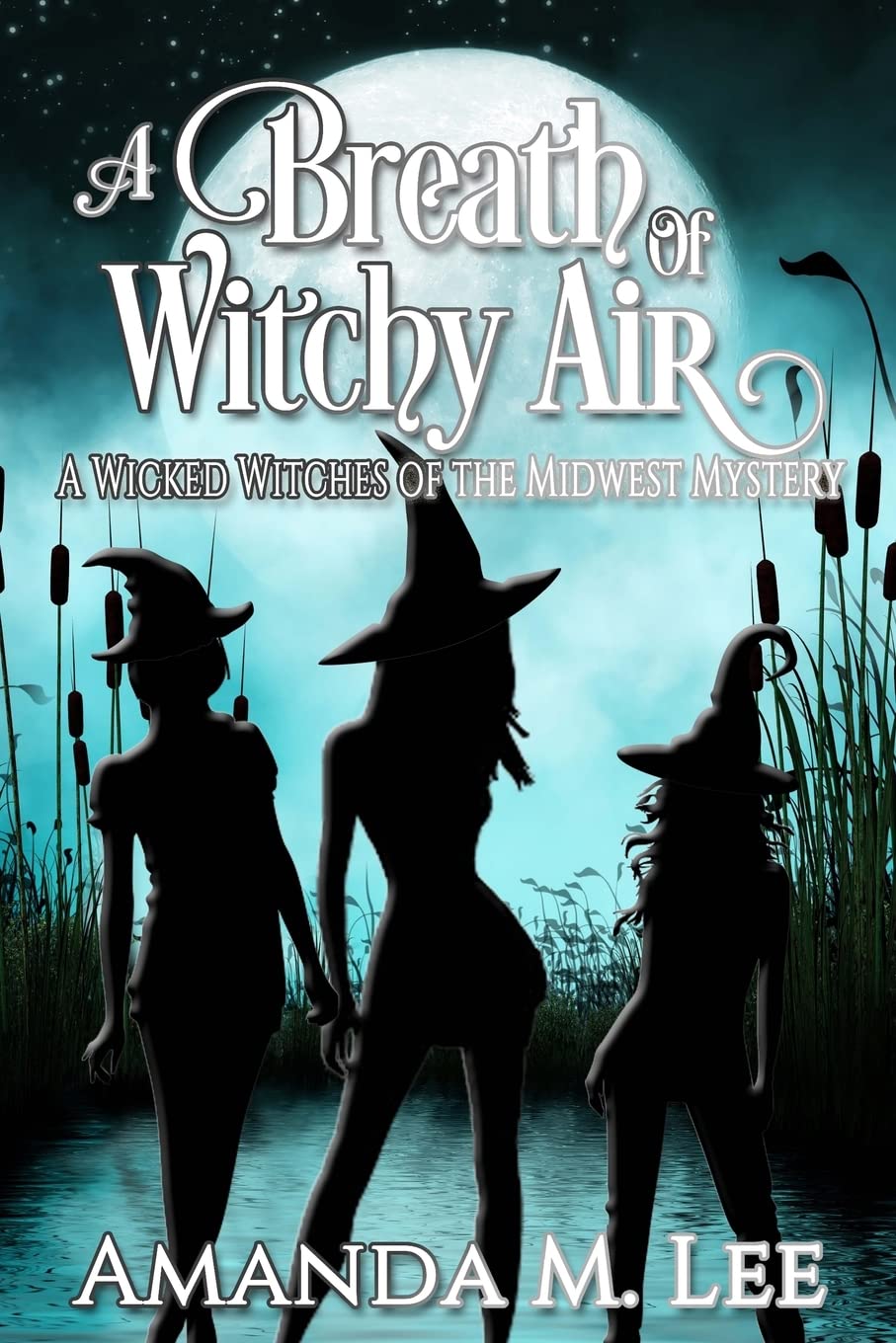 A Breath of Witchy Air (Wicked Witches of the Midwest),Used