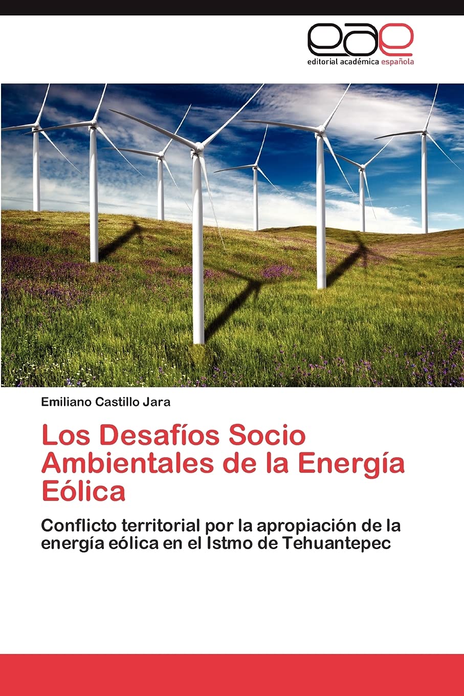 Los Desafos Socio Ambientales de la Energa Elica: Conflicto territorial por la apropiacin de la energa elica en el I,Used