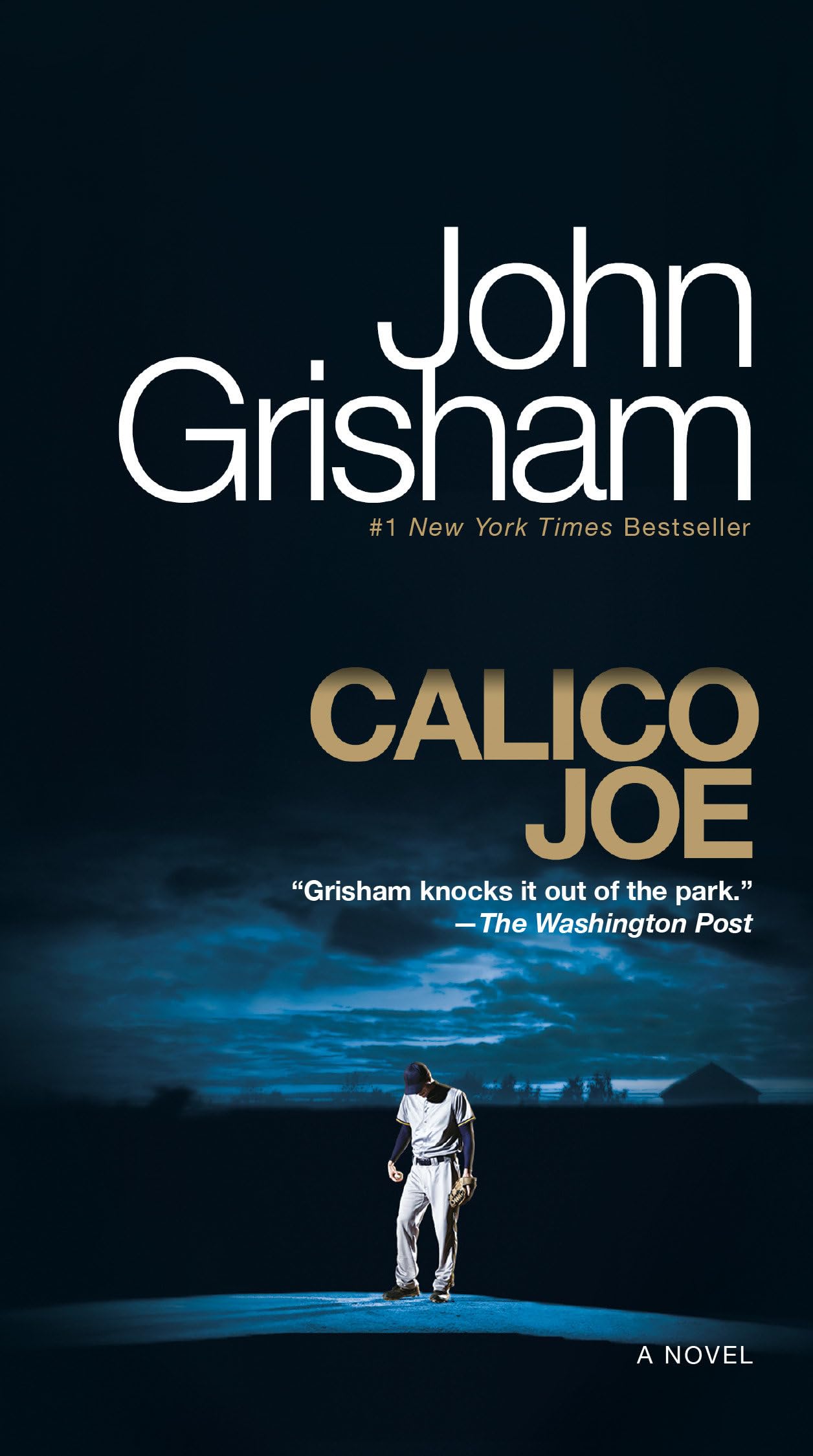 Calico Joe: A Novel,New