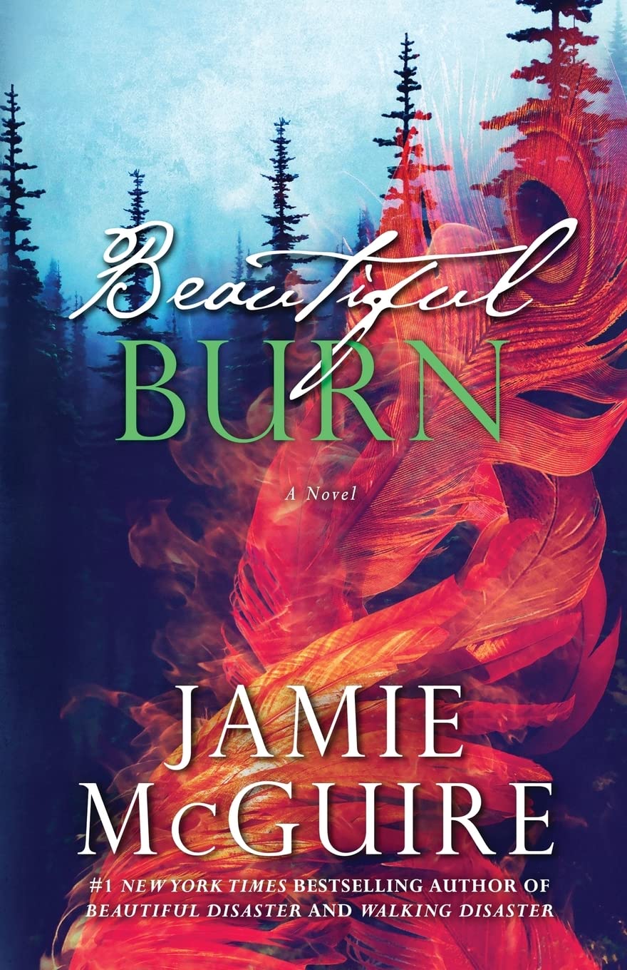 Beautiful Burn: A Novel (The Maddox Brothers Book 4),Used