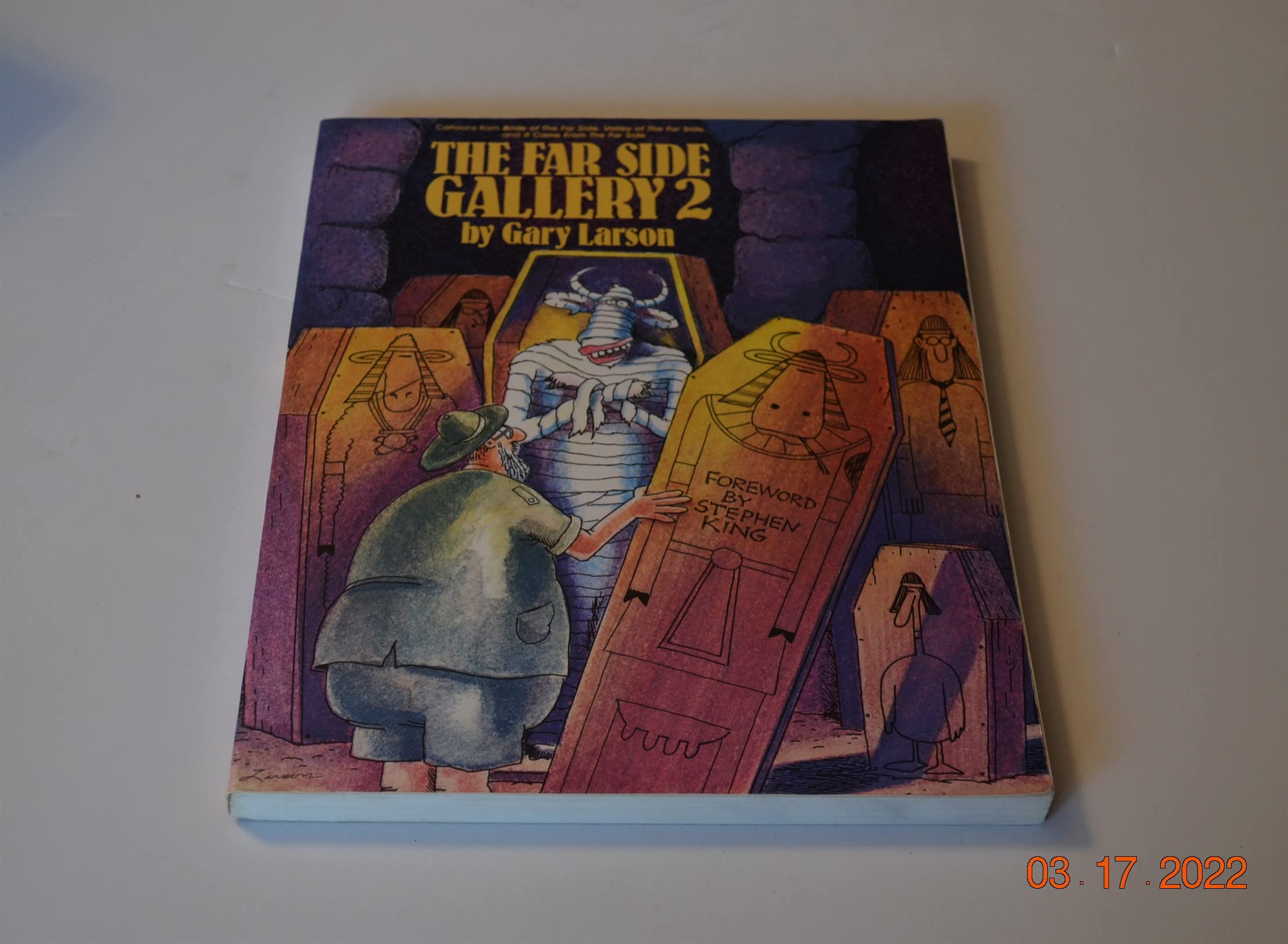 The Far Side Gallery 2,Used