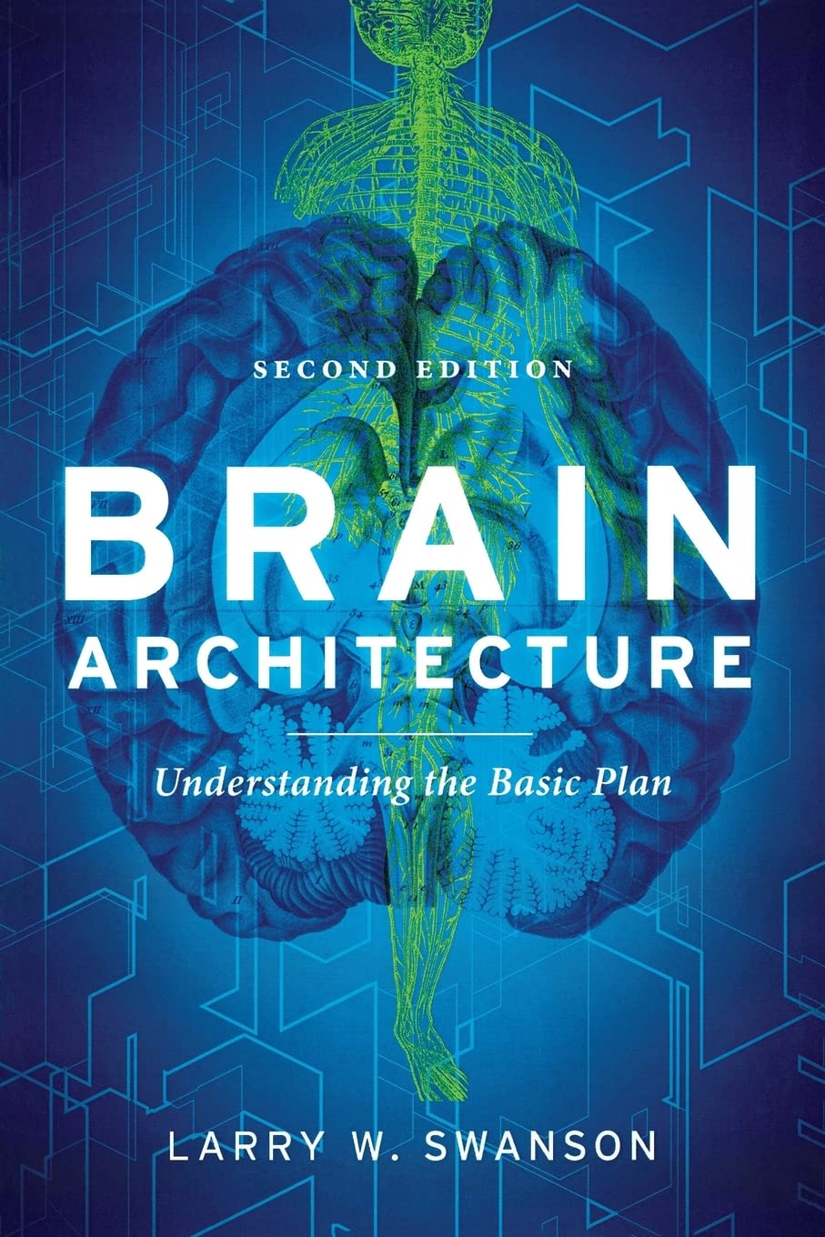 Brain Architecture,Used