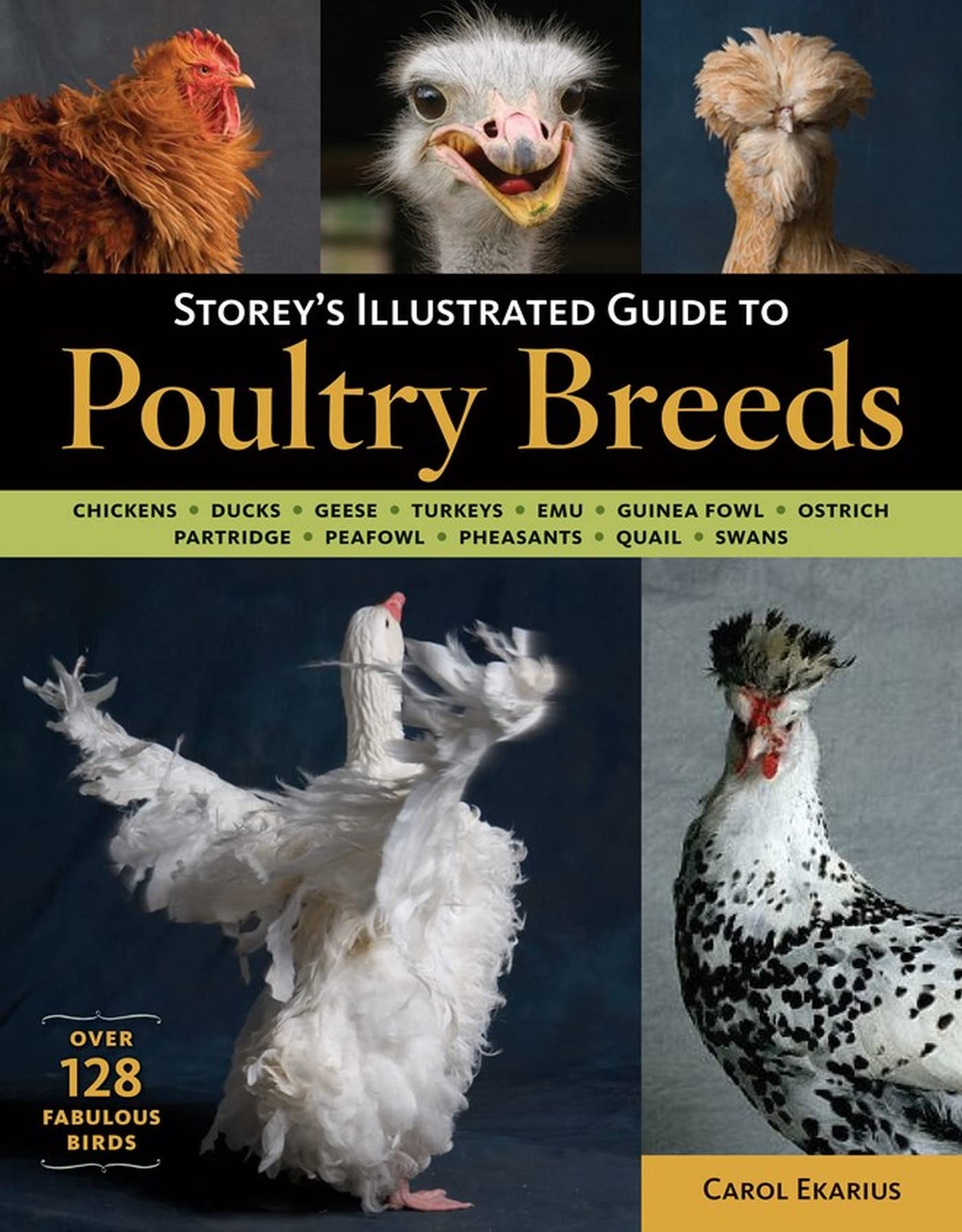 Storey's Illustrated Guide to Poultry Breeds: Chickens, Ducks, Geese, Turkeys, Emus, Guinea Fowl, Ostriches, Partridges, Peafowl,New