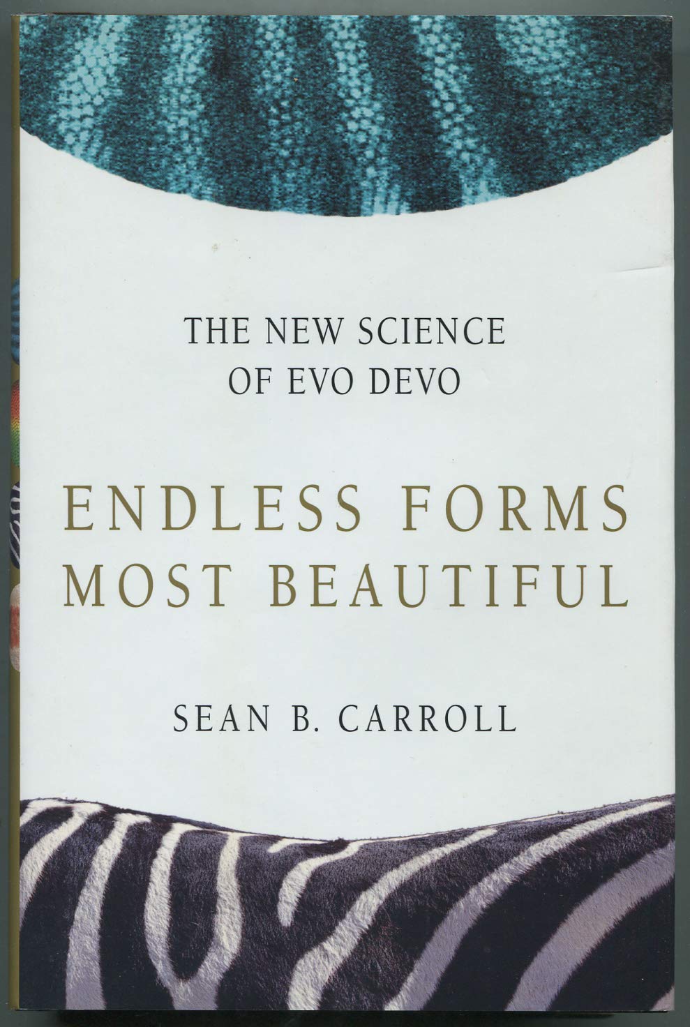 Endless Forms Most Beautiful: The New Science of Evo Devo,Used
