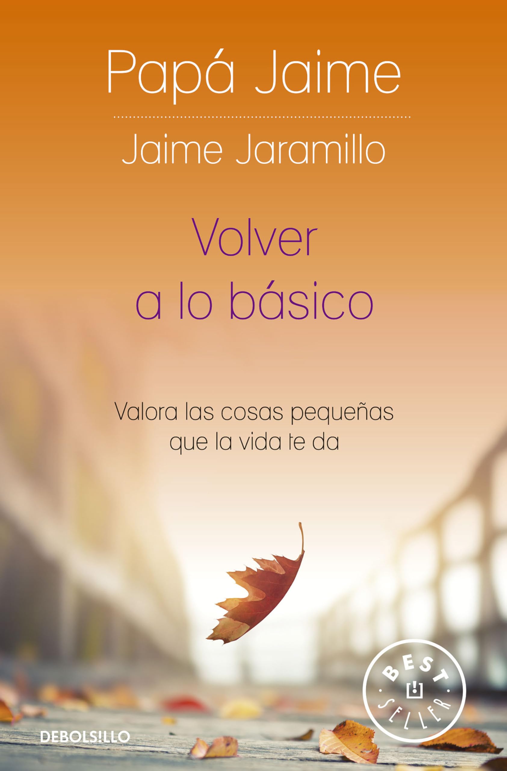Volver a lo bsico: Valora las cosas pequeas que la vida te da / Back to Basics (Spanish Edition),New