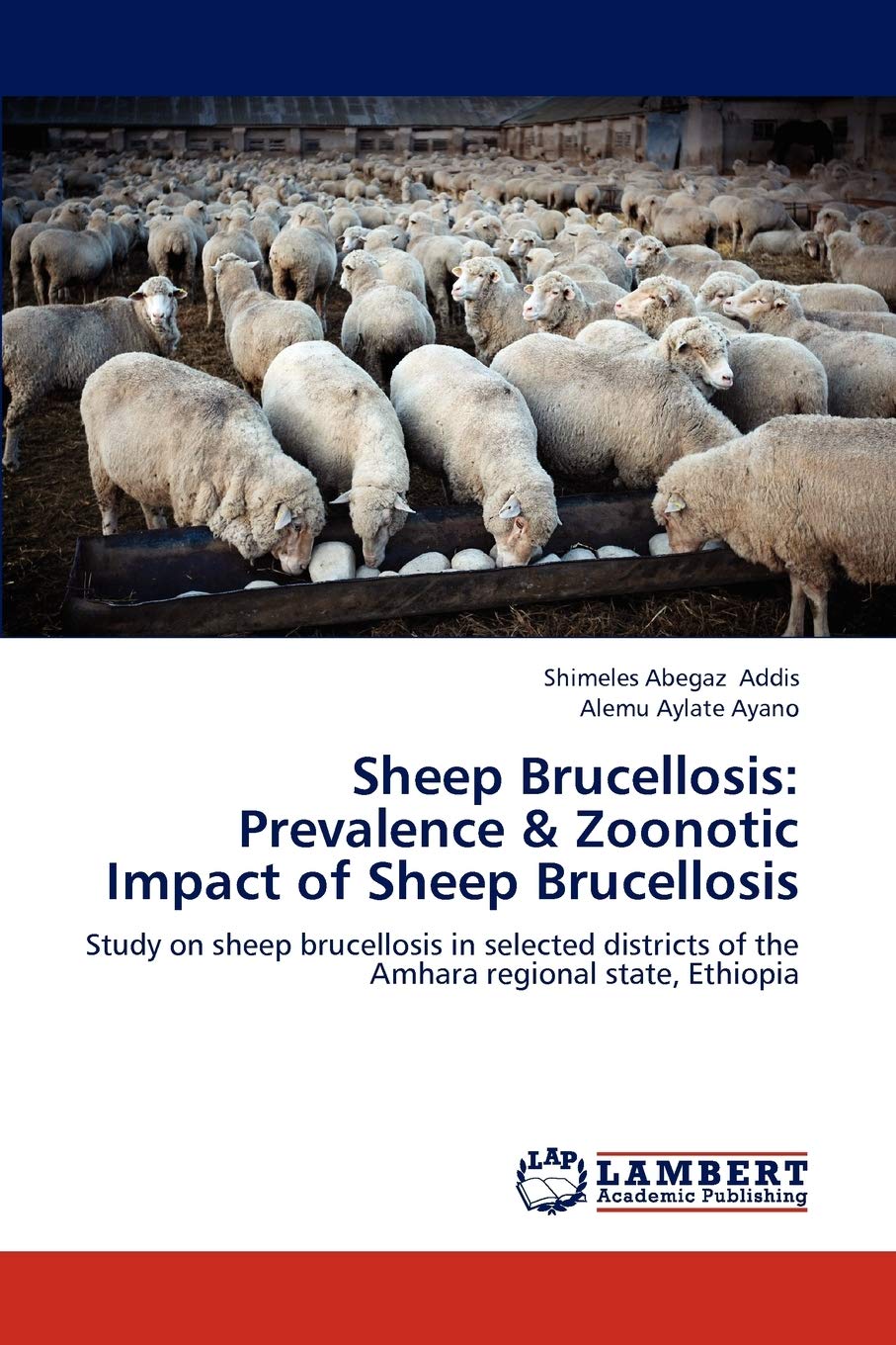 Sheep Brucellosis: Prevalence & Zoonotic Impact of Sheep Brucellosis: Study on sheep brucellosis in selected districts of the Am,Used