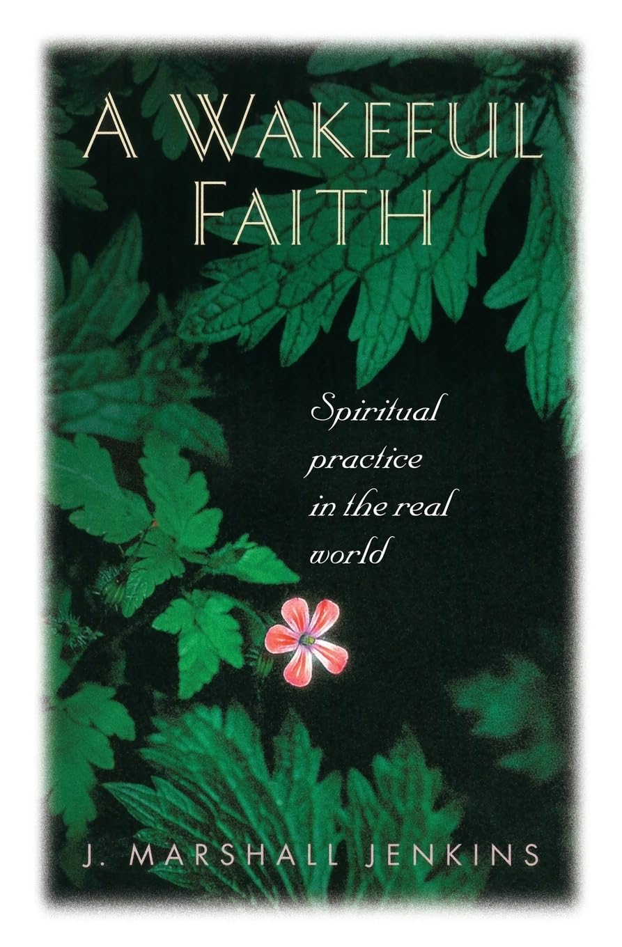 A Wakeful Faith: Spiritual Practice In The Real World,Used