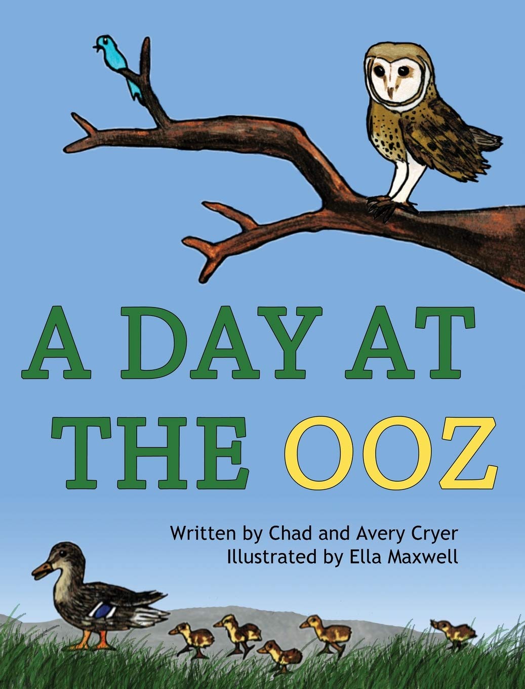 A Day at the OOZ,Used