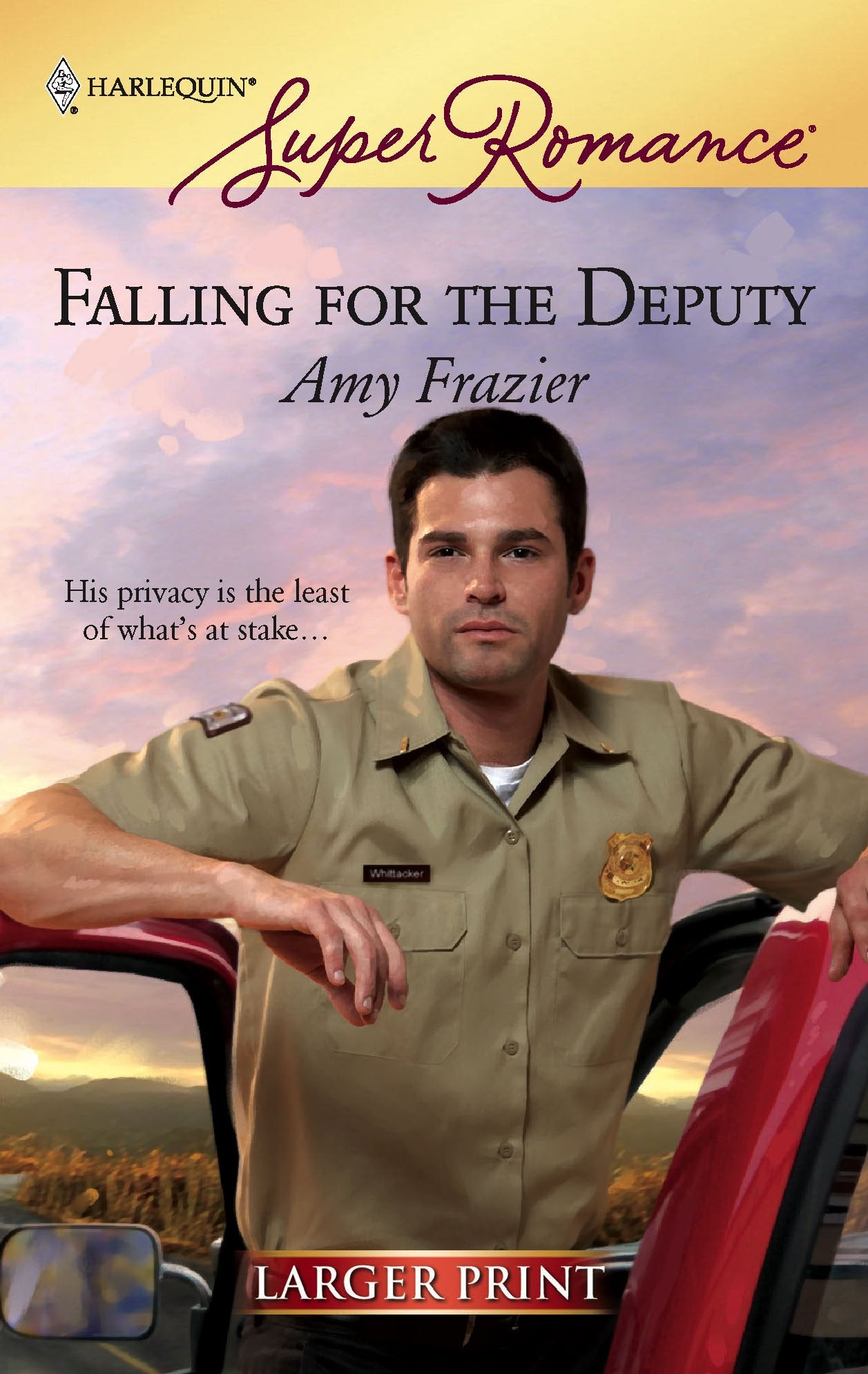 Falling for the Deputy,Used
