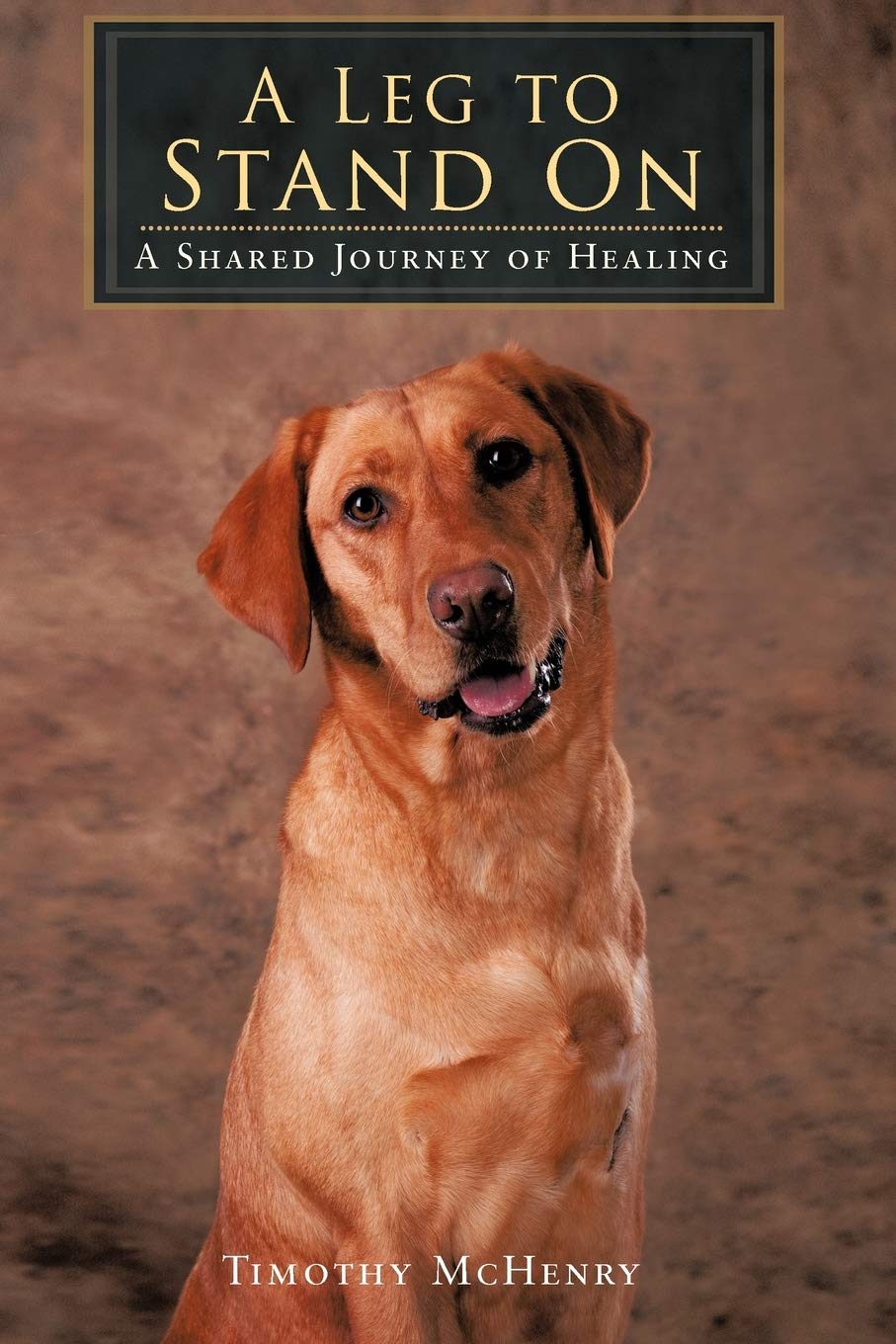 A Leg To Stand On: A Shared Journey Of Healing,Used