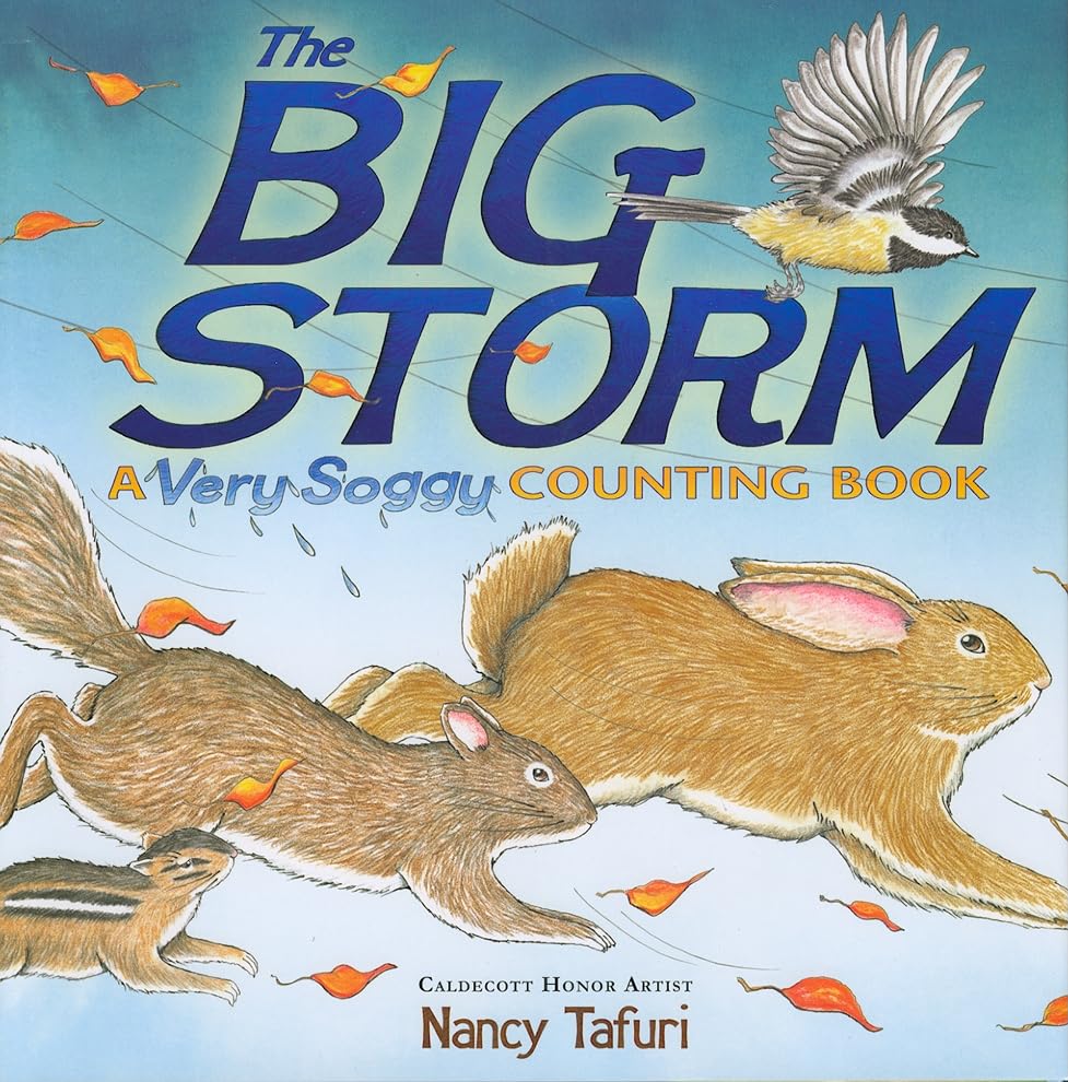 The Big Storm: A Very Soggy Counting Book,Used