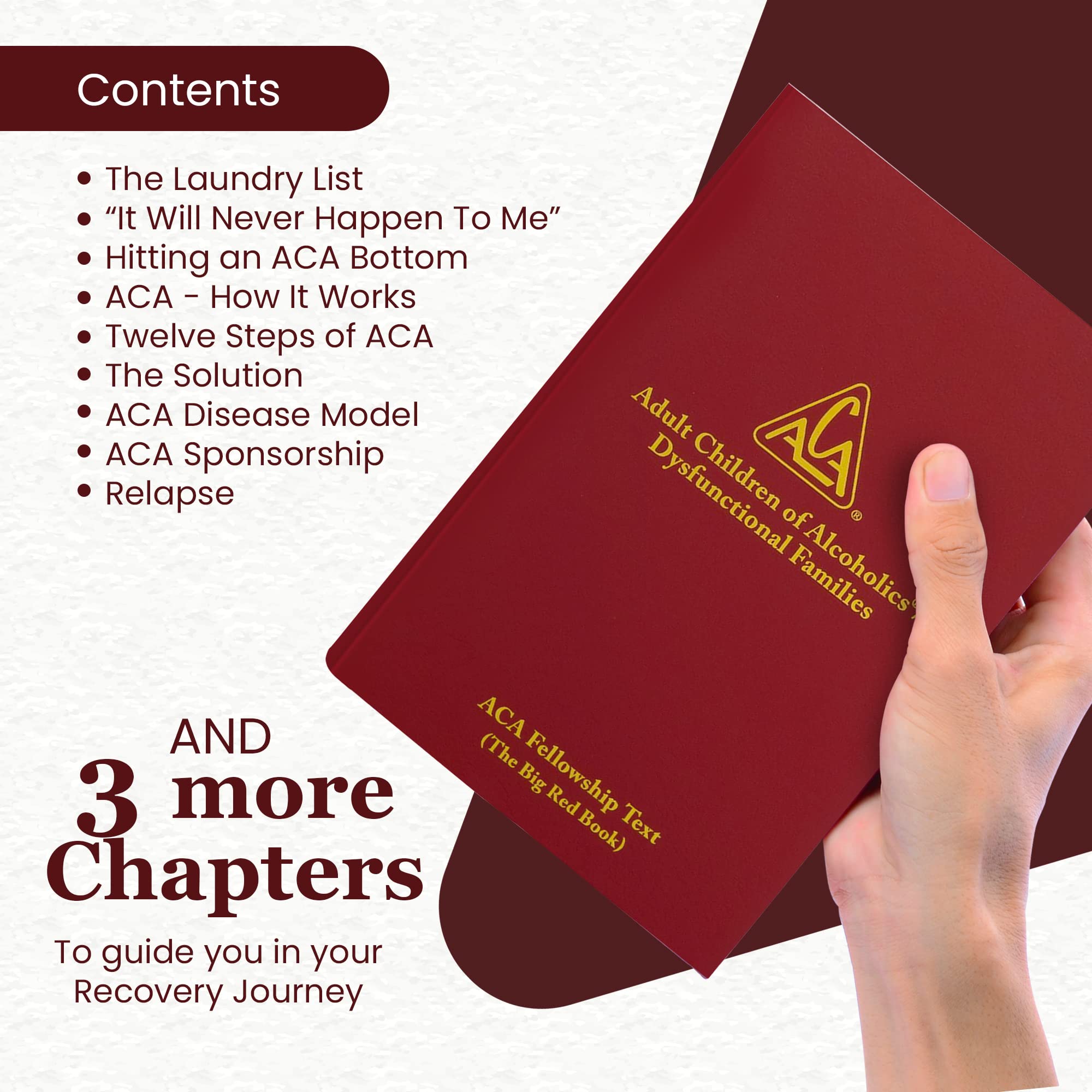 Adult Children Of Alcoholics/Dysfunctional Families: Big Red Book,New
