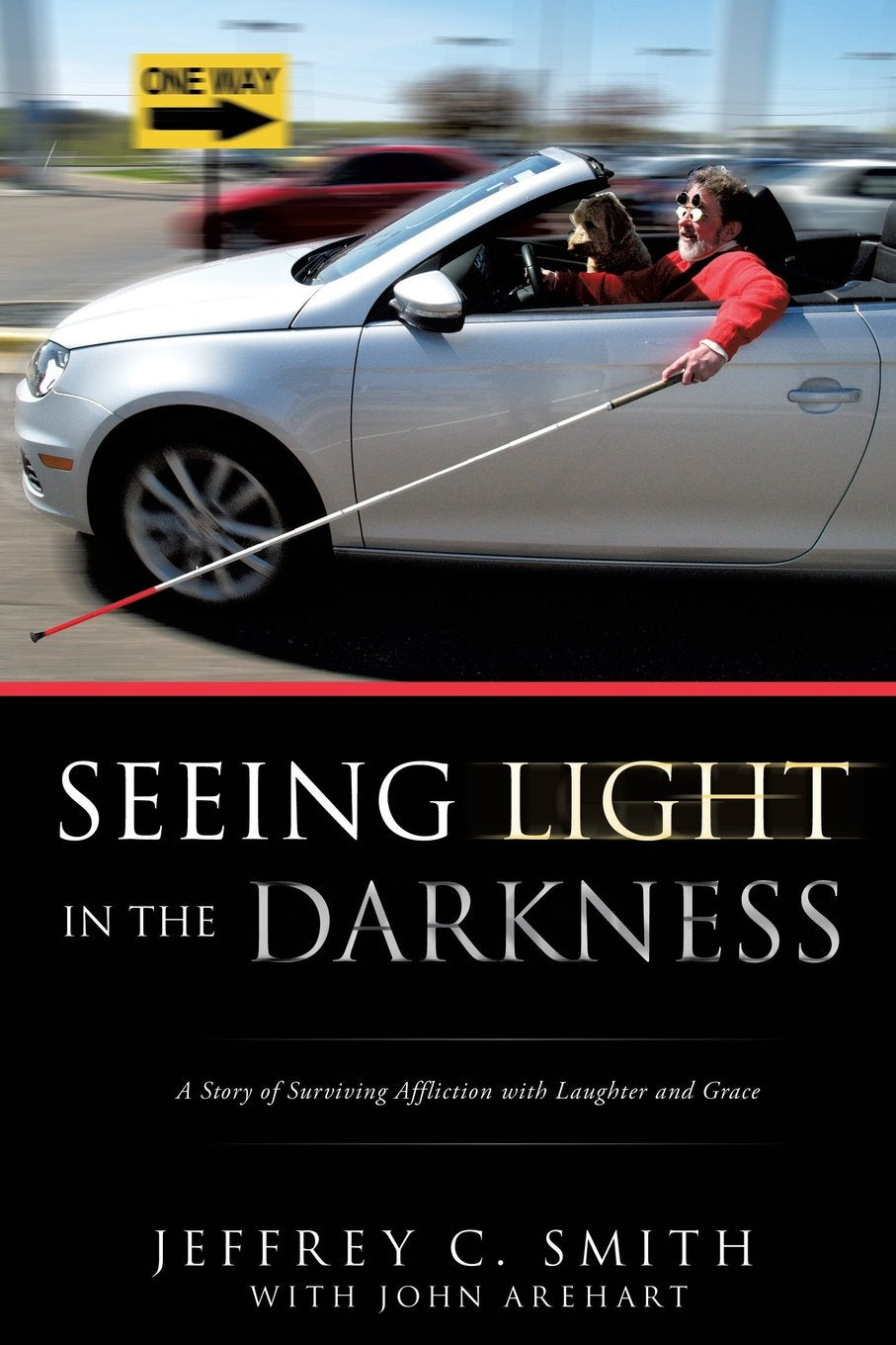 Seeing Light in the Darkness,Used