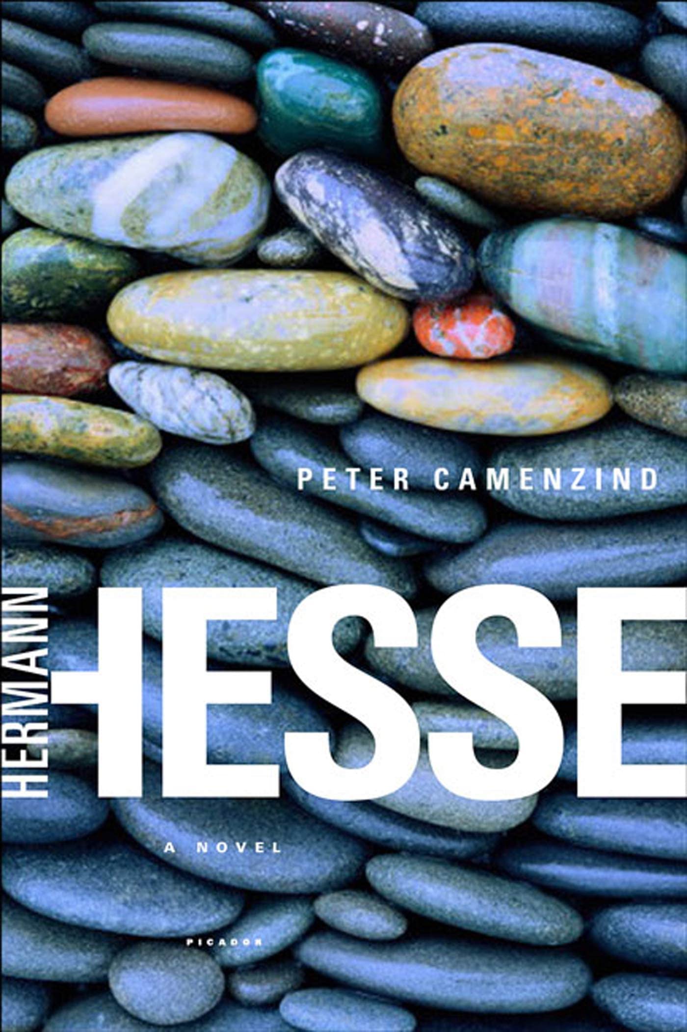 Peter Camenzind: A Novel,Used