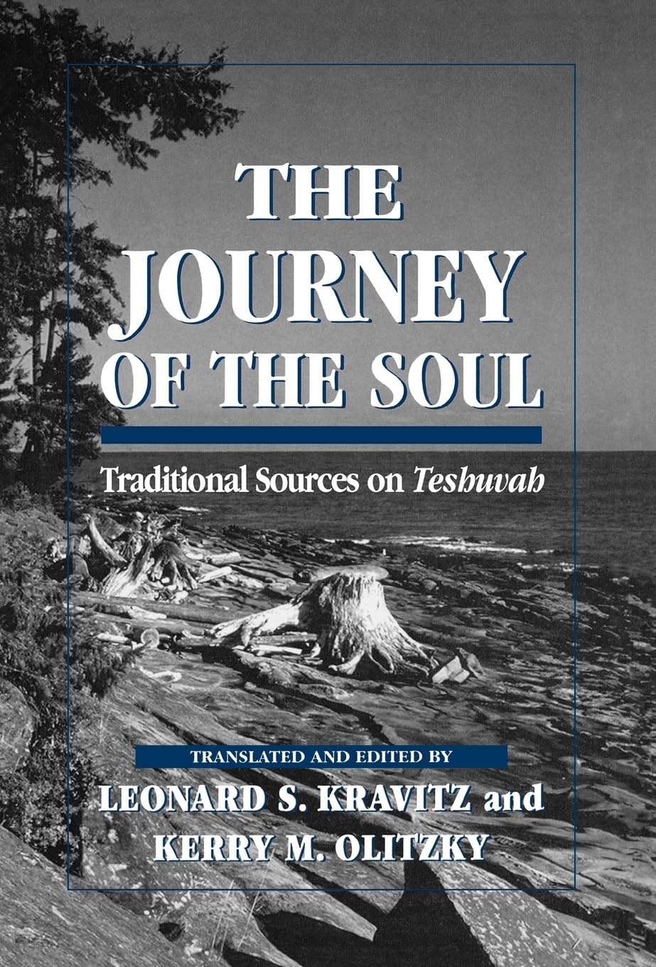 The Journey of the Soul: Traditional Sources on Teshuvah,Used