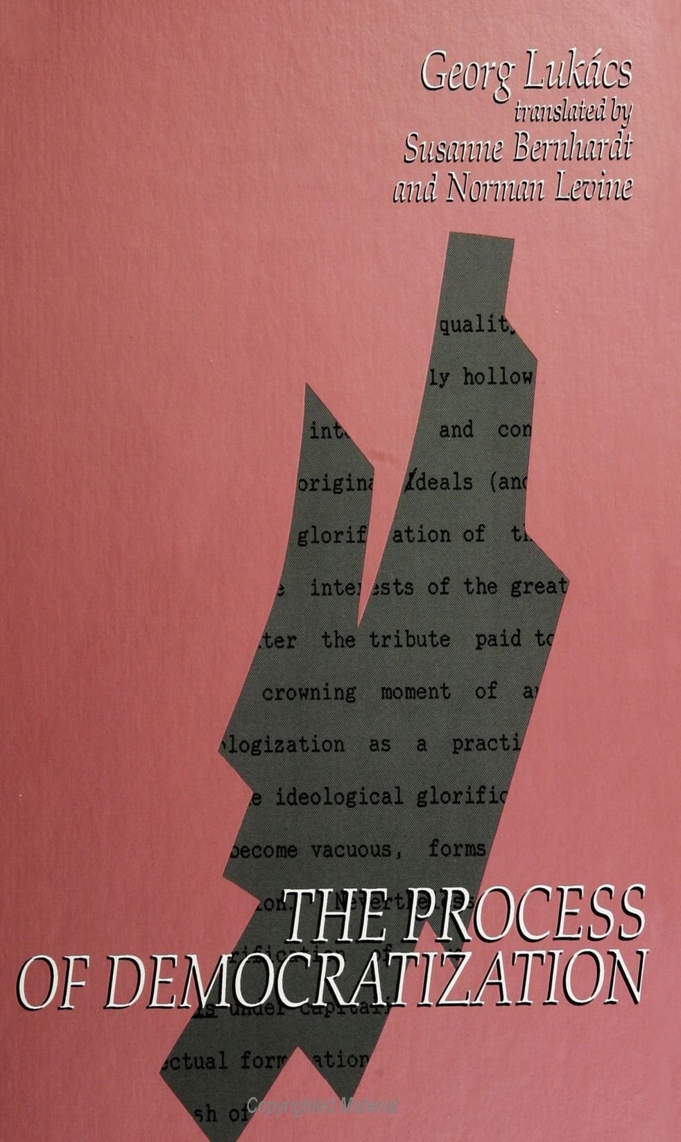 The Process Of Democratization (Suny Series In Contemporary Continental Philosophy),New